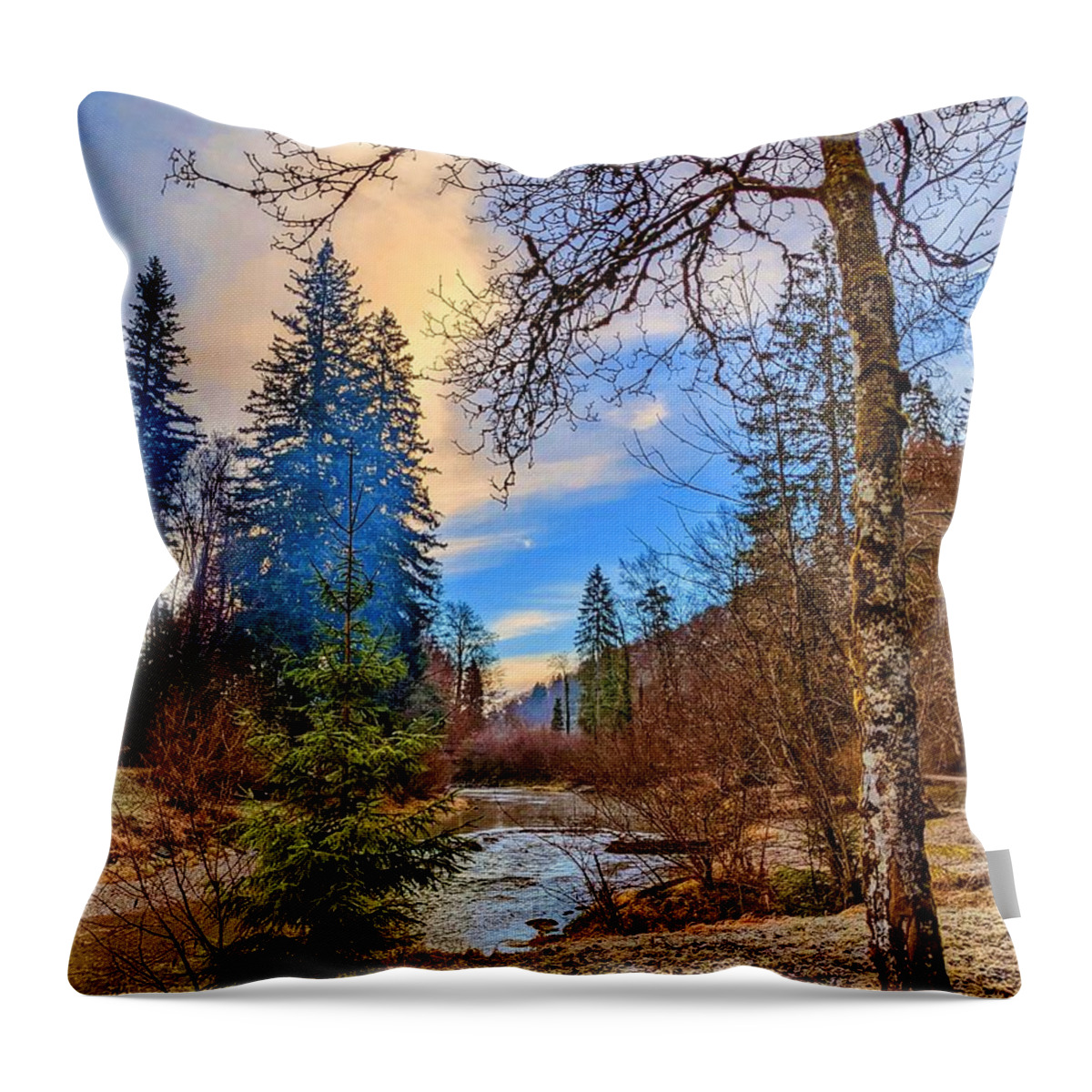 Frosty Throw Pillow featuring the photograph Frosty Winter Morning by Claudia Zahnd-Prezioso