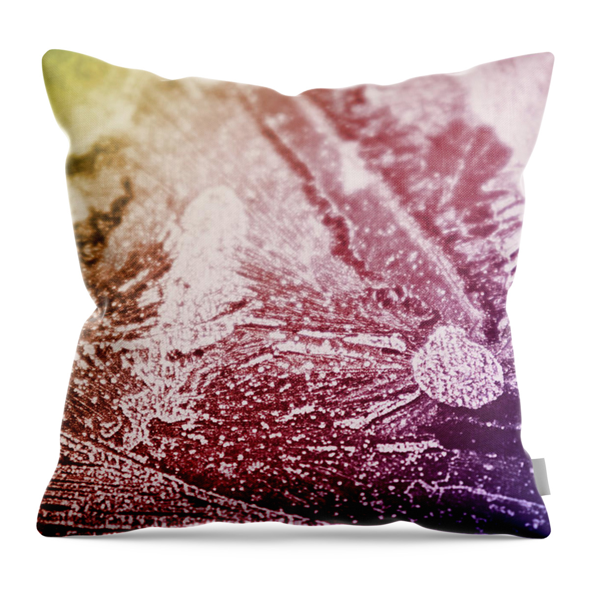 Frozen Throw Pillow featuring the photograph Frozen Breath by D Lee