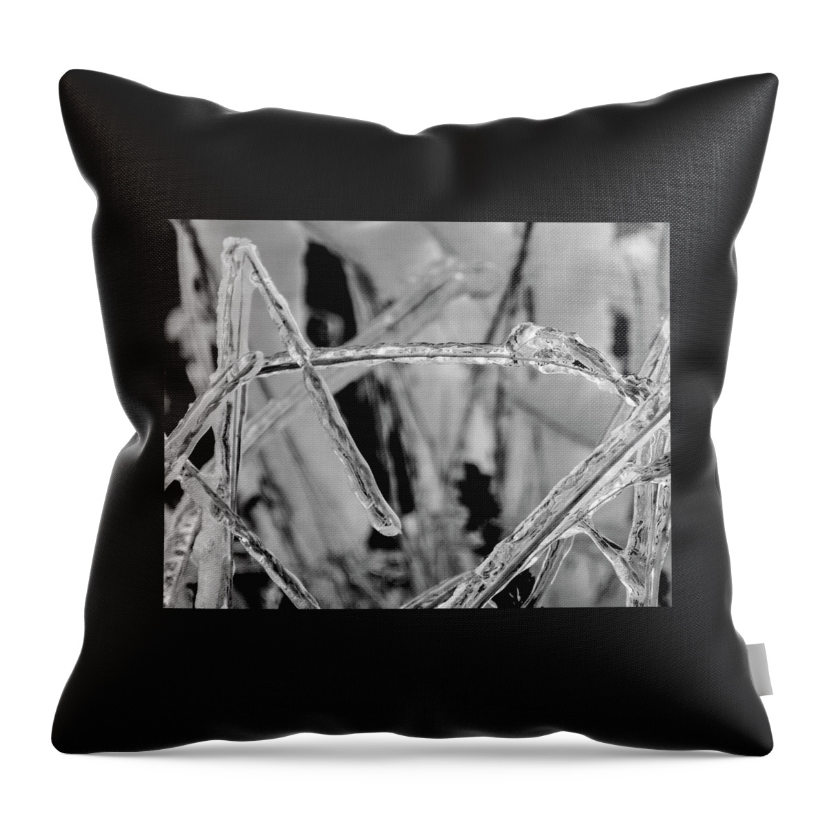 Textured Throw Pillow featuring the photograph Frozen Grass Black and White by Pelo Blanco Photo
