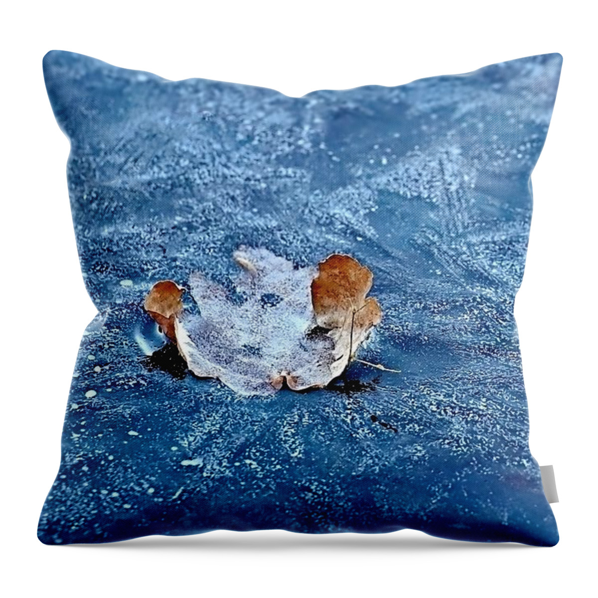 Ice Throw Pillow featuring the photograph Frozen In Time by Lori Lafargue