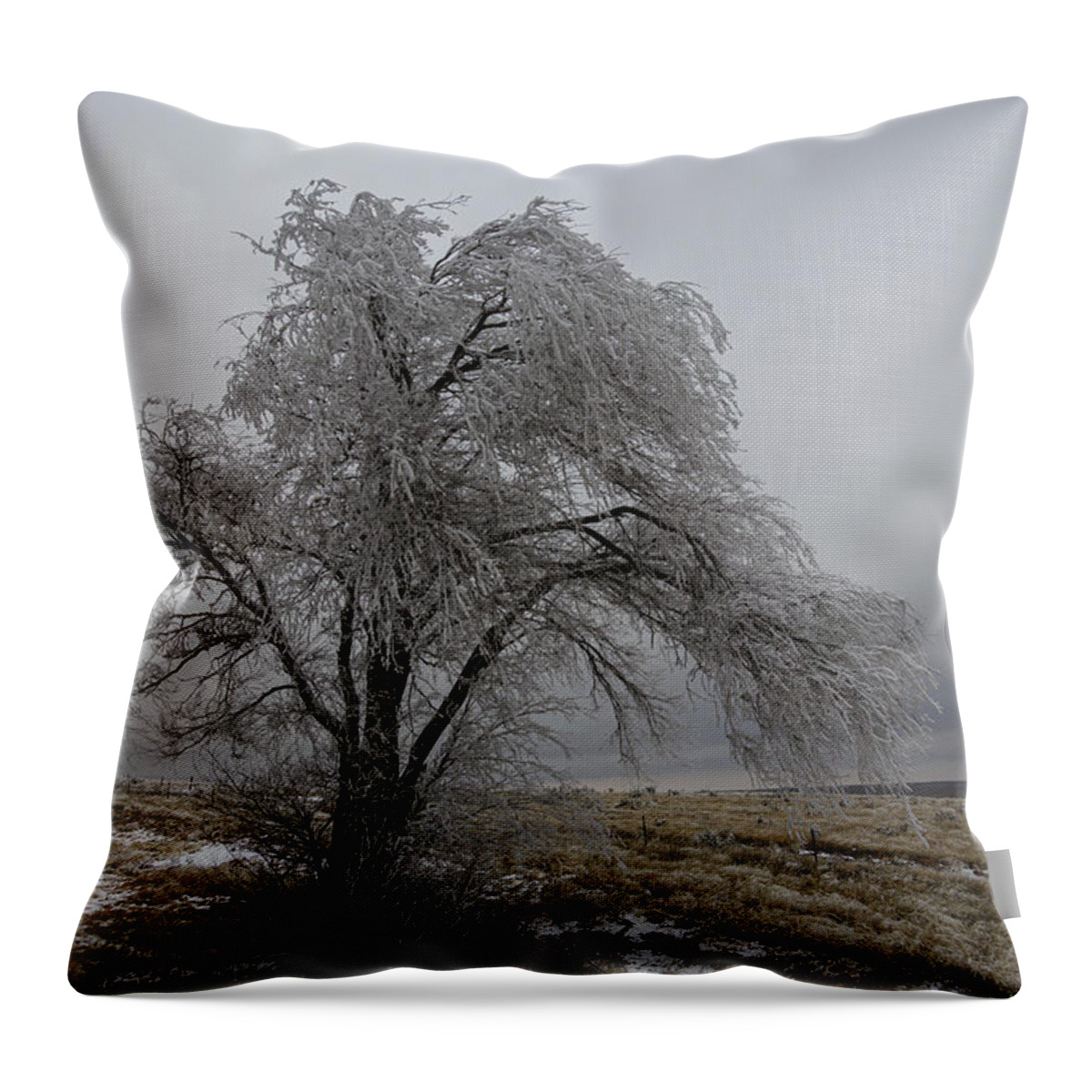Frozen Throw Pillow featuring the photograph Frozen Tree by Steve Templeton