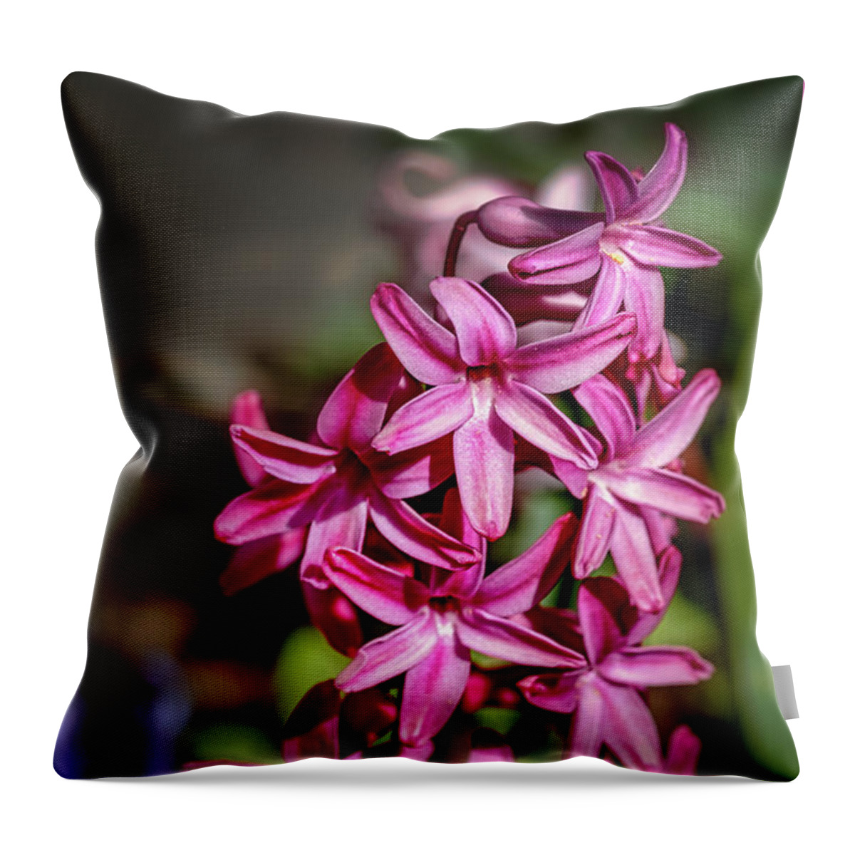 Fuchsia Throw Pillow featuring the photograph Fuchsia hyacinth by The P