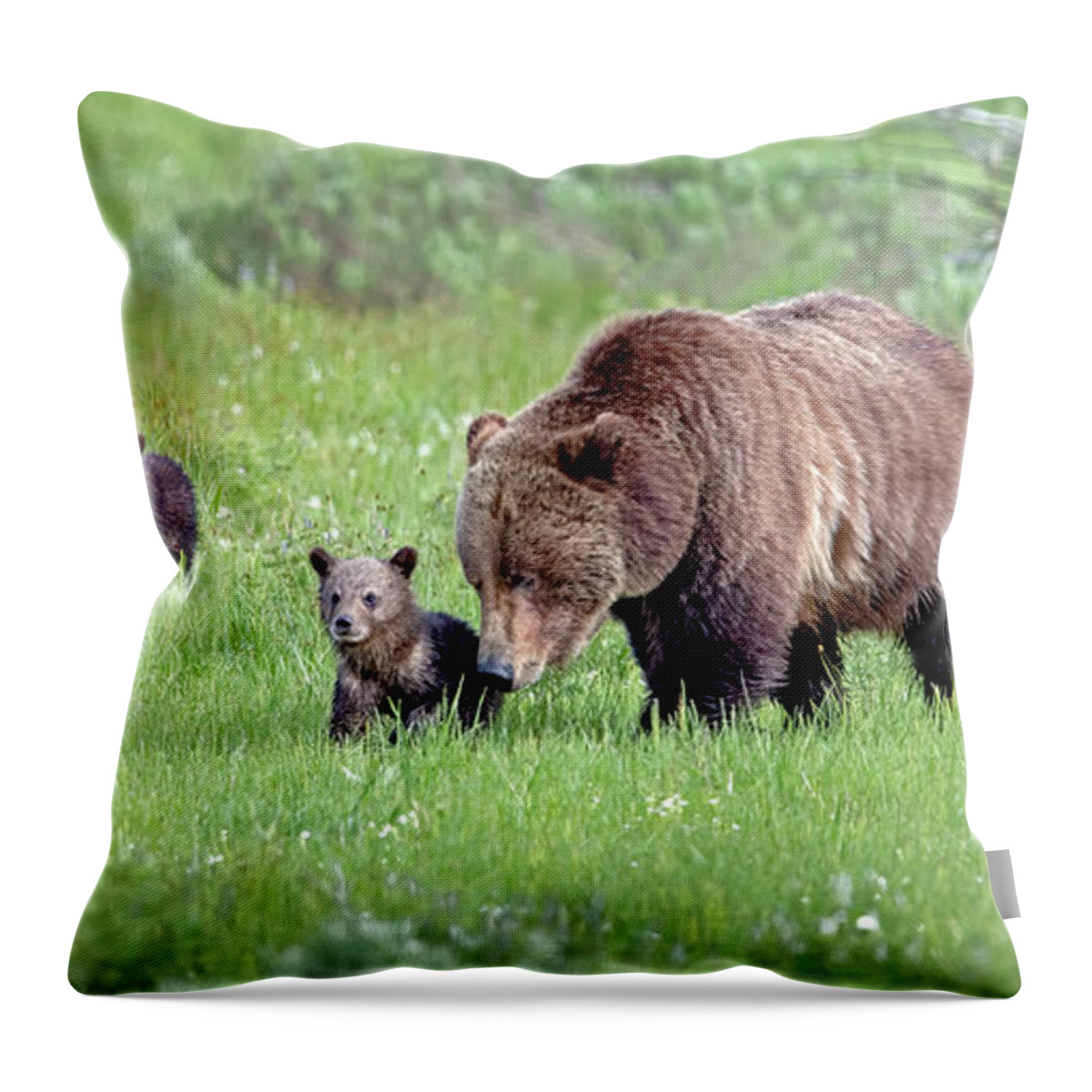 Grizzly Bear Throw Pillow featuring the photograph Full House by Jack Bell