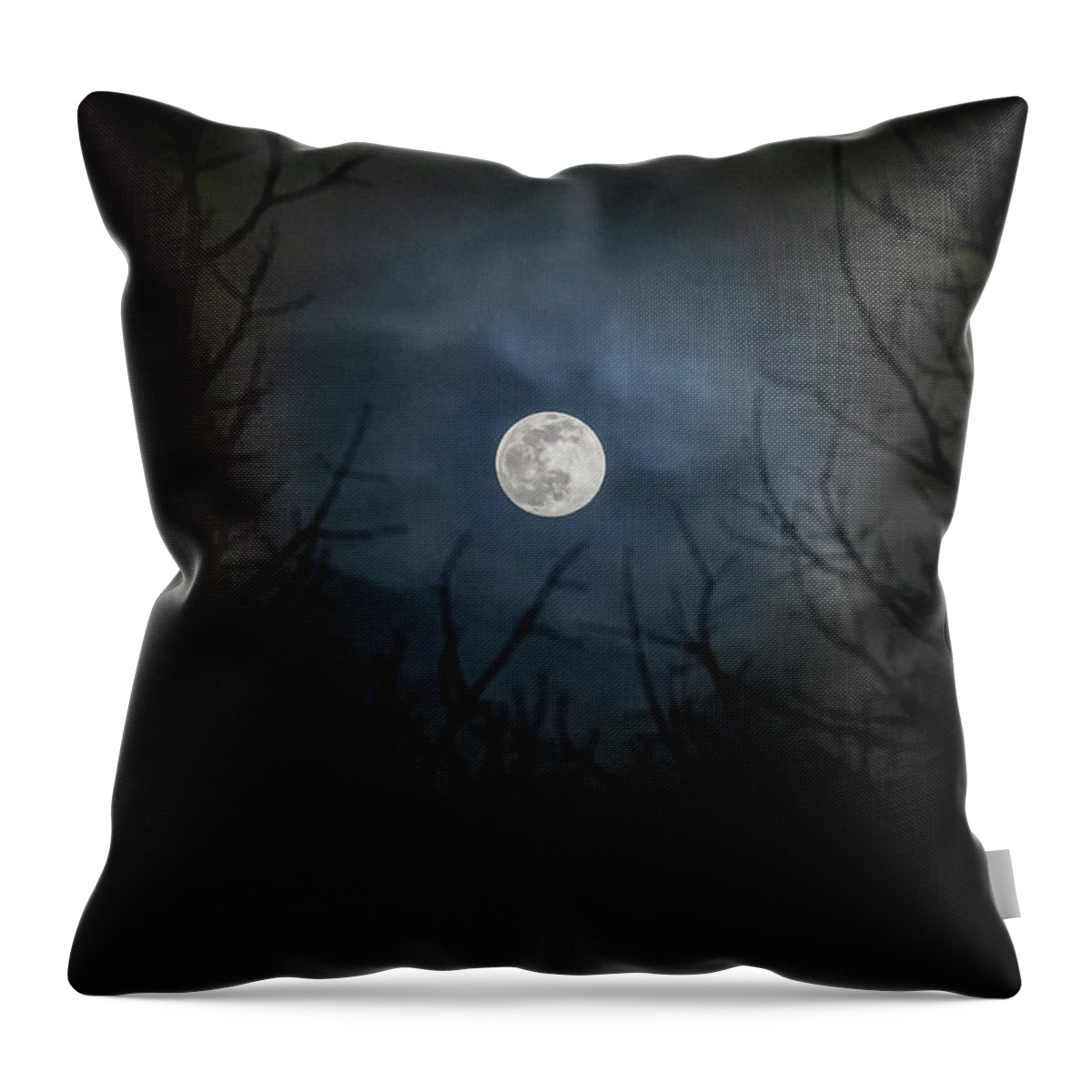 Full Moon Throw Pillow featuring the photograph Full Moon by Flowstate Photography