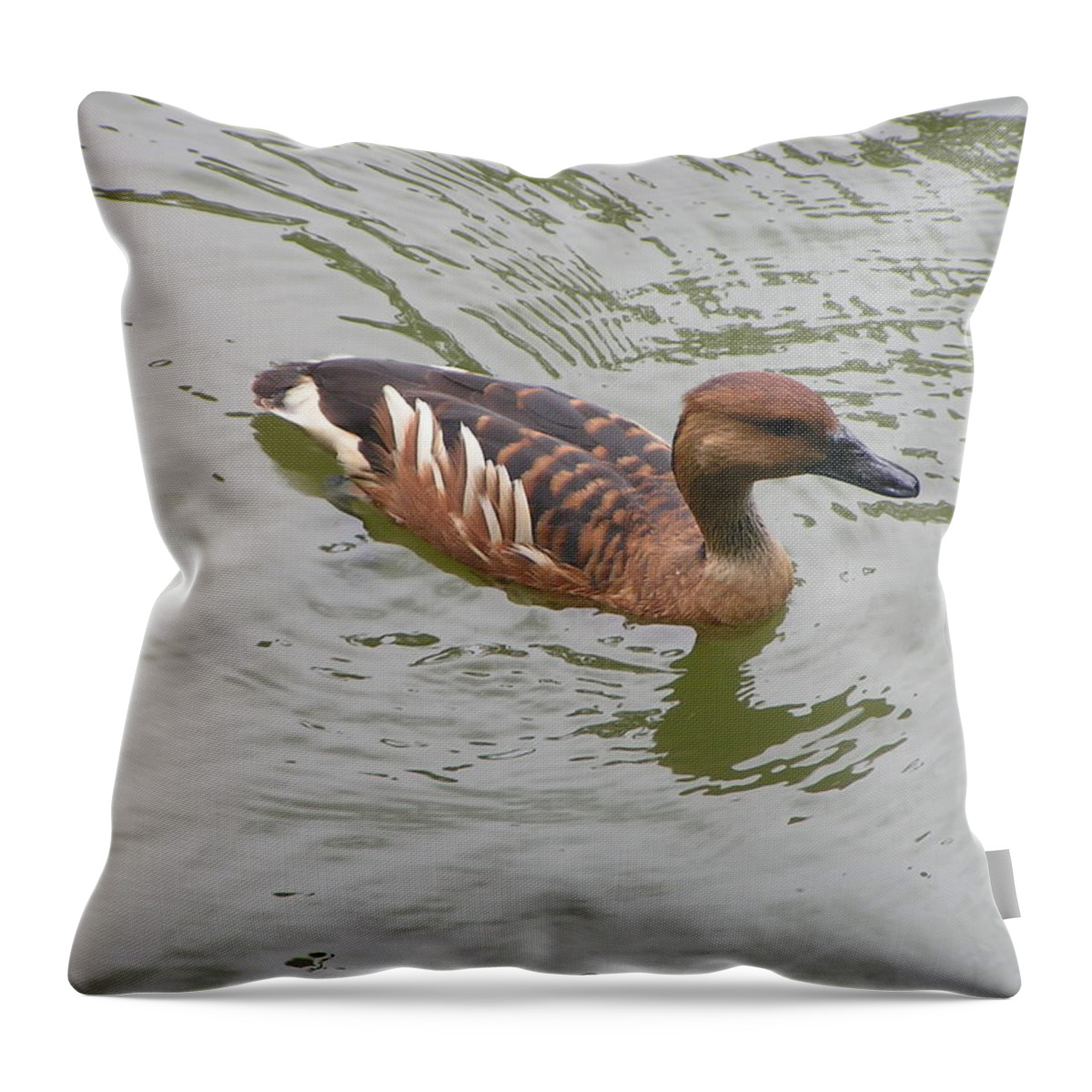 Audubon Zoo Throw Pillow featuring the photograph Fulvous Whistling Duck by Heather E Harman