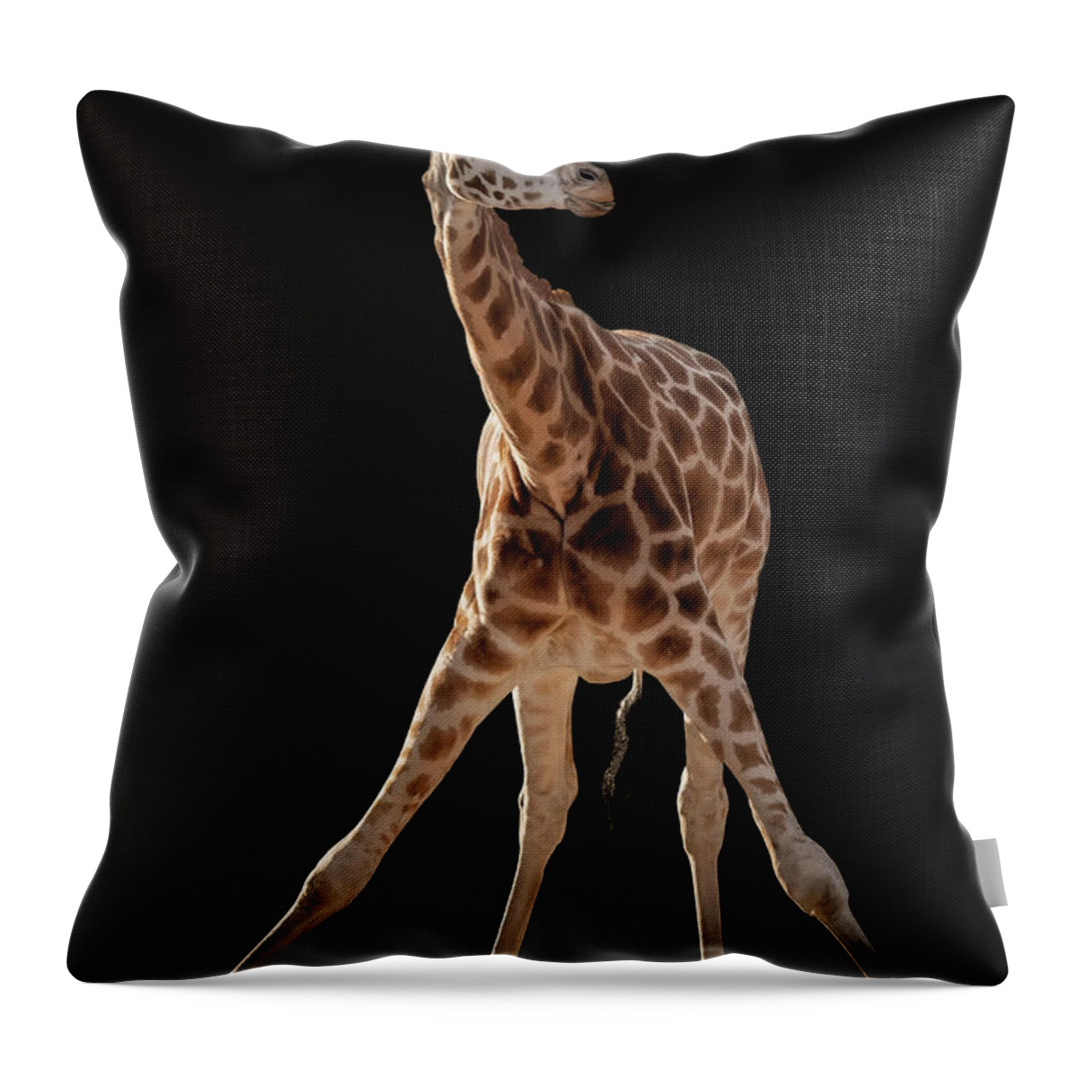 Funny Throw Pillow featuring the digital art Funny Giraffe by Marjolein Van Middelkoop