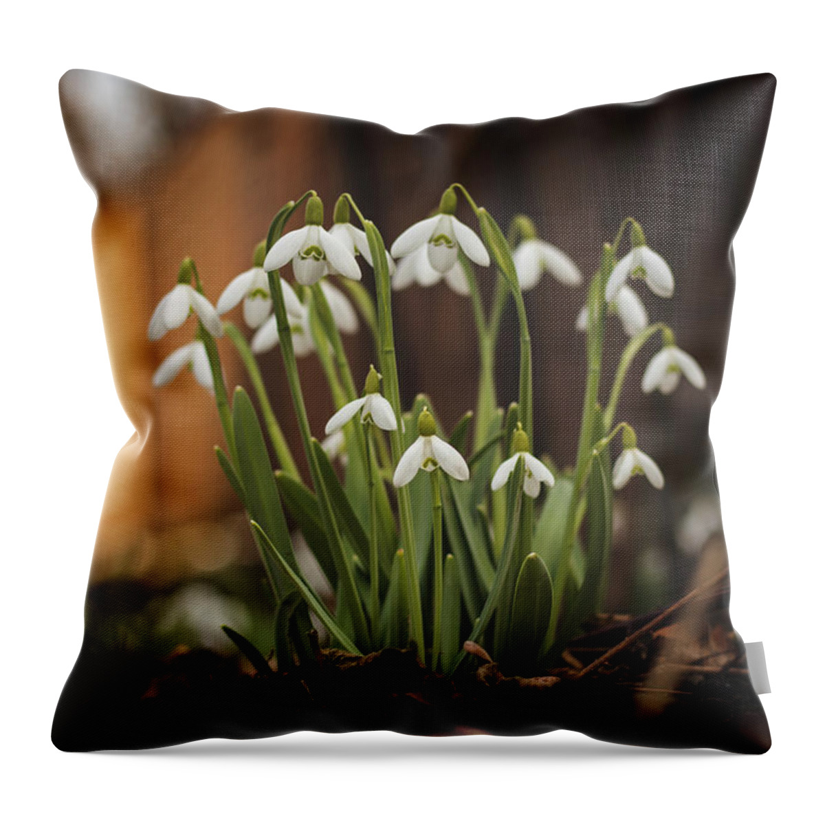 Europe Throw Pillow featuring the photograph Galanthus nivalis - spring fairytale awakening by Vaclav Sonnek