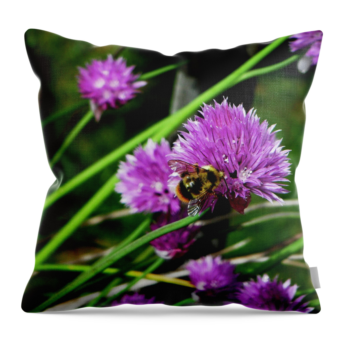 Flowers Throw Pillow featuring the photograph Garlic Chive by Segura Shaw Photography