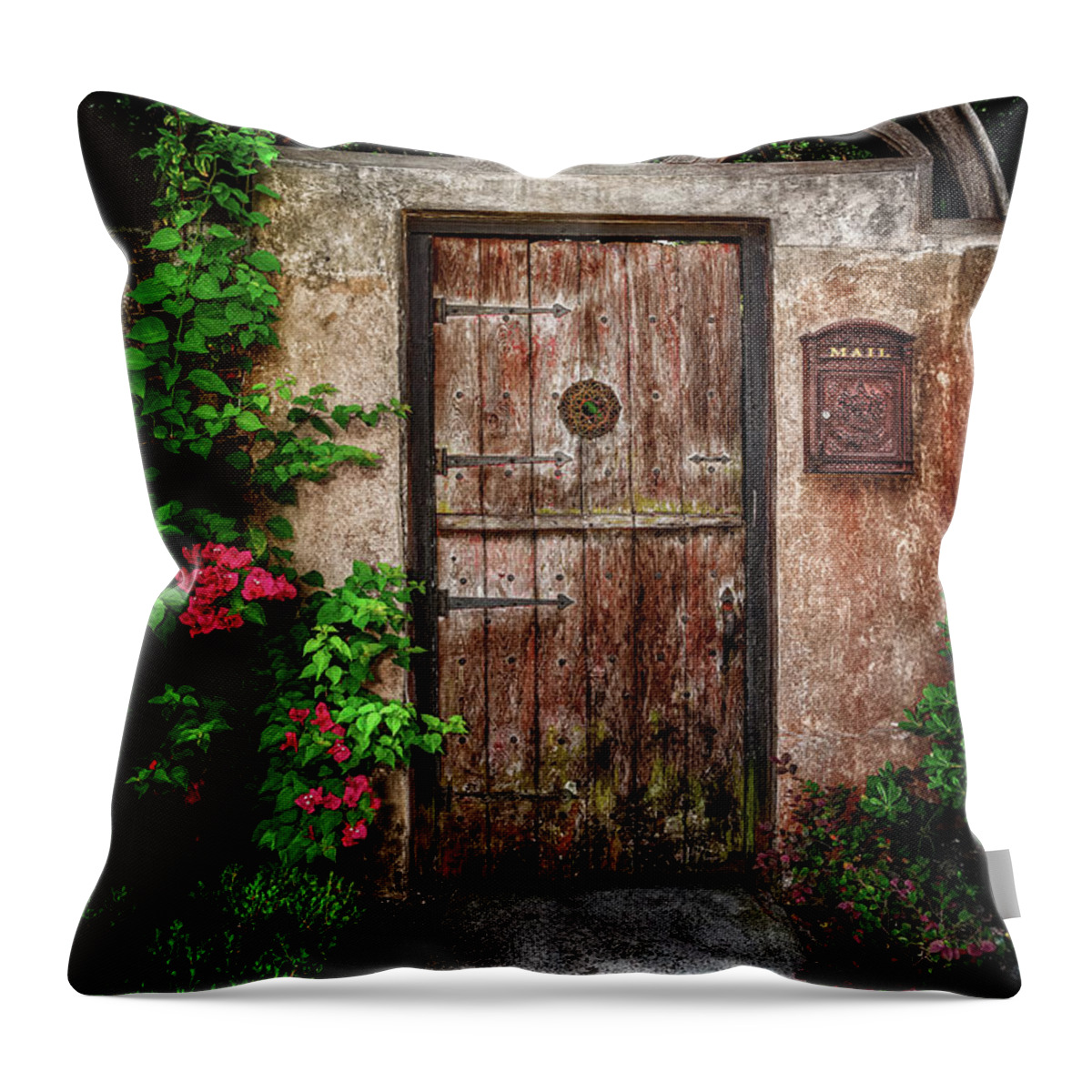 Gate Throw Pillow featuring the photograph Garden Gate by Christopher Holmes