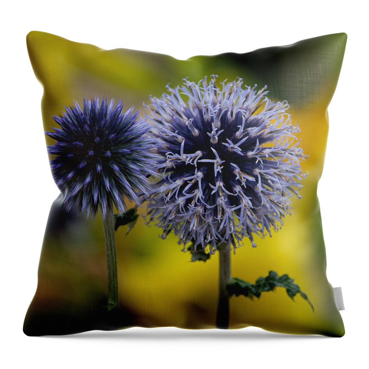 Wildflower Throw Pillow featuring the photograph Garden Globes by Linda Bonaccorsi