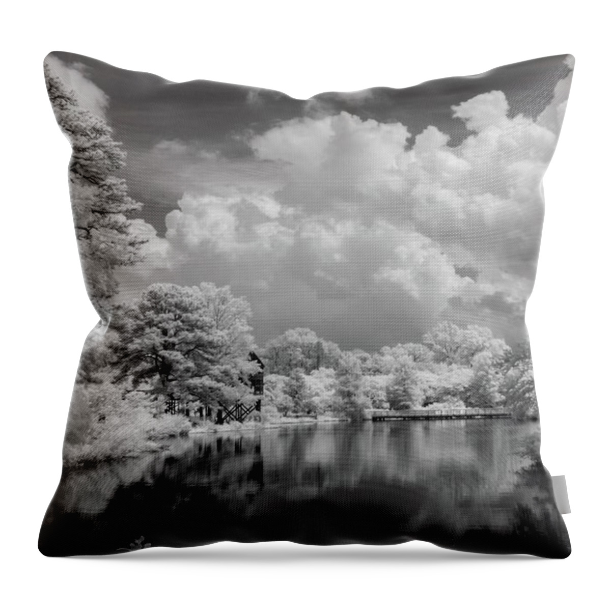 Infrared Throw Pillow featuring the photograph Garden Lake in Infrared by Liza Eckardt