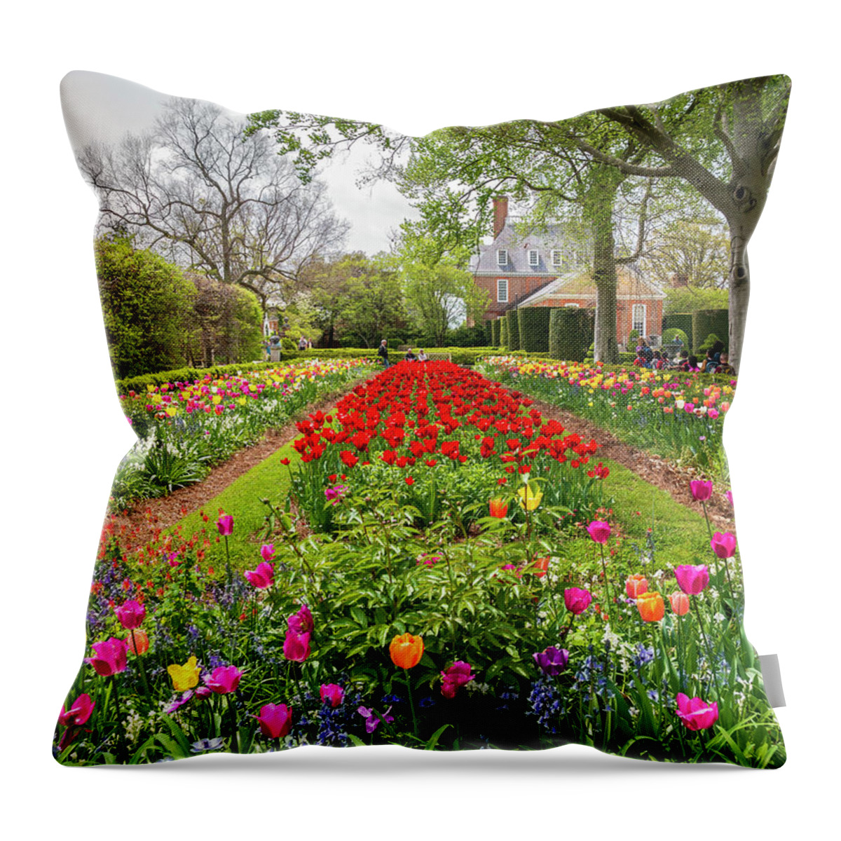 Colonial Williamsburg Throw Pillow featuring the photograph Garden of Tulips at the Palace by Rachel Morrison