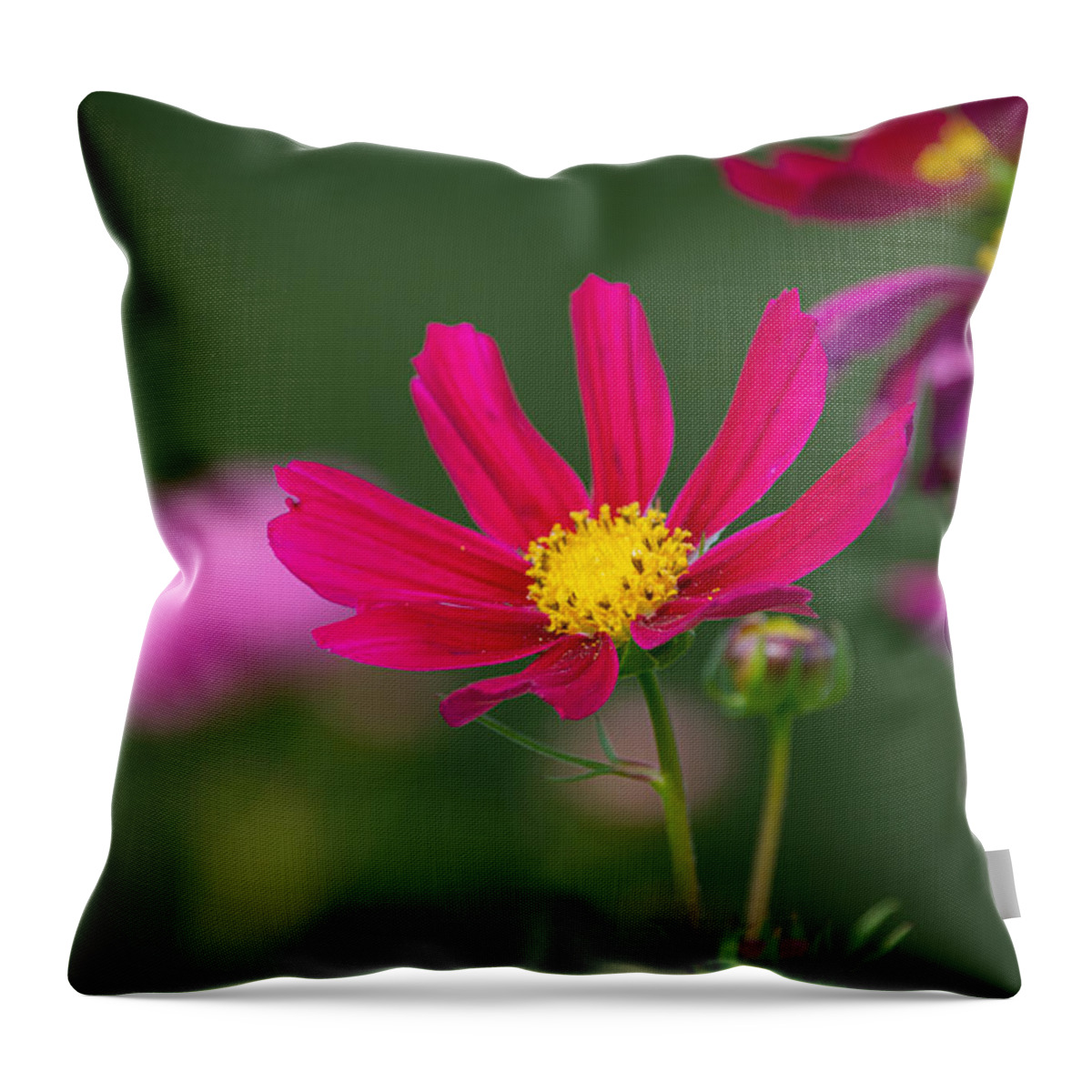 Flower Throw Pillow featuring the photograph Garden Pink by Linda Bonaccorsi
