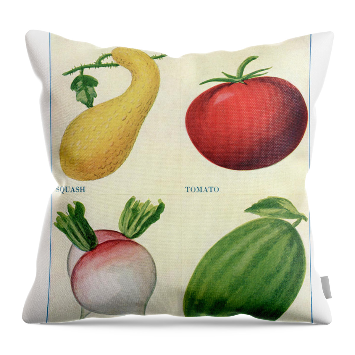 Squash Throw Pillow featuring the digital art Garden vegetable 06 - Vintage Farm Illustration - The Open Door to Independence by Studio Grafiikka