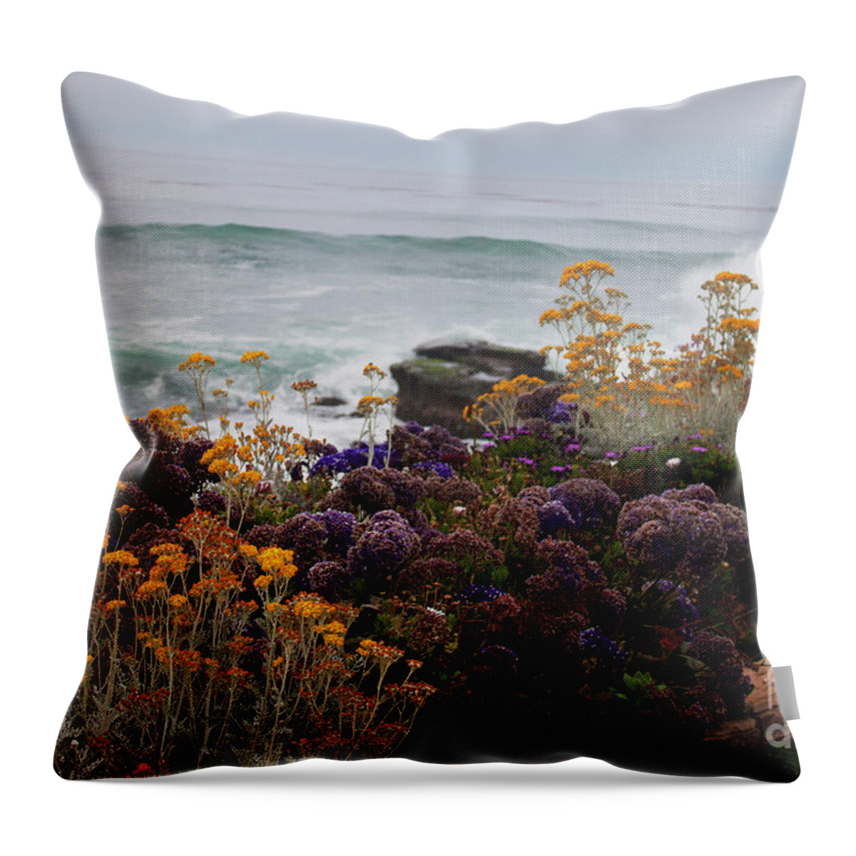 Garden View Throw Pillow featuring the photograph Garden View by Ivete Basso Photography