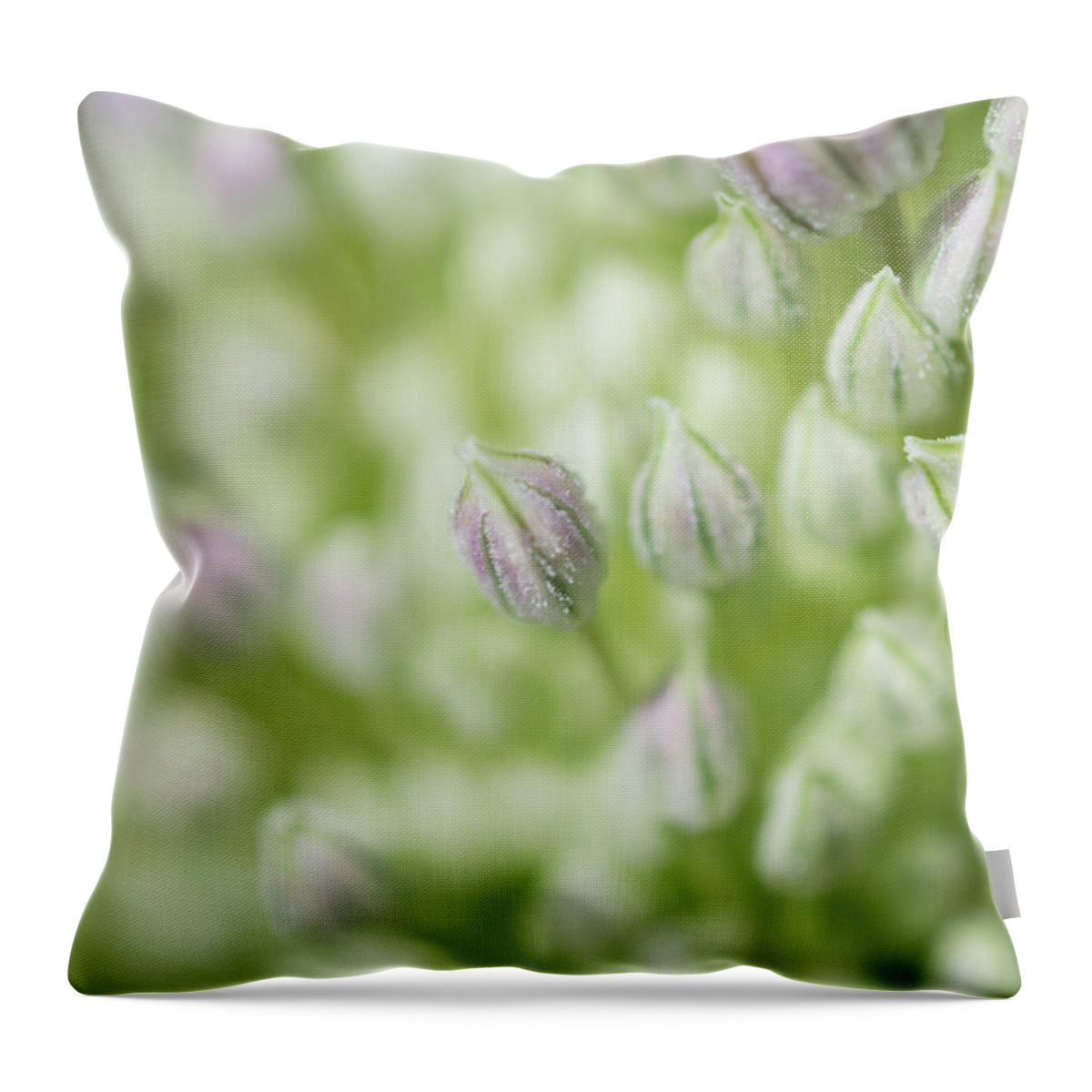 Garlic Throw Pillow featuring the photograph Garlic flower by Andrew Lalchan