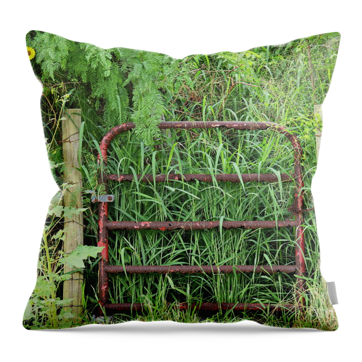 Gateway Throw Pillow featuring the photograph Gateway to Nature by Gary Richards