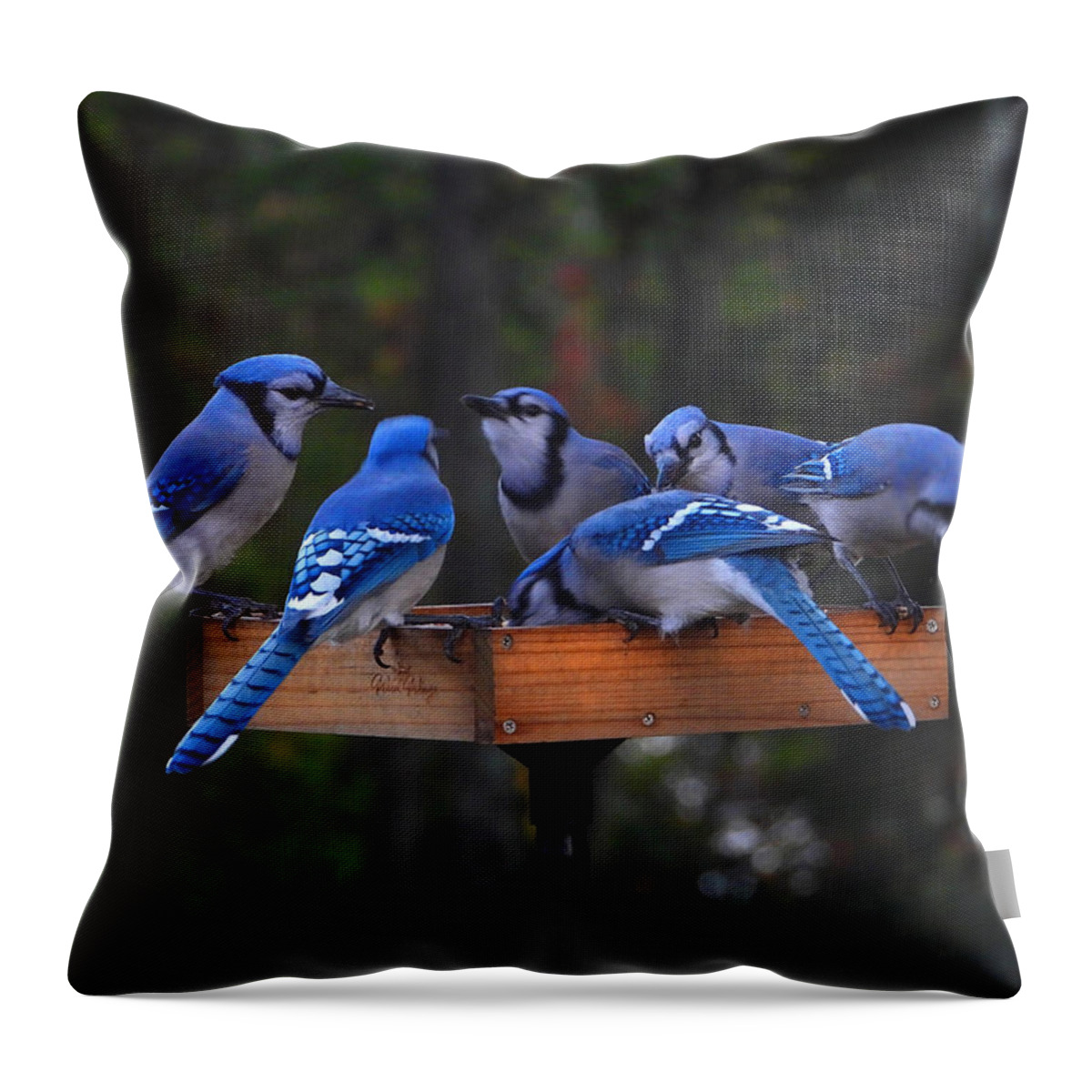 Blue Jays Throw Pillow featuring the photograph Gathering Of Blue Jays by Living Color Photography Lorraine Lynch