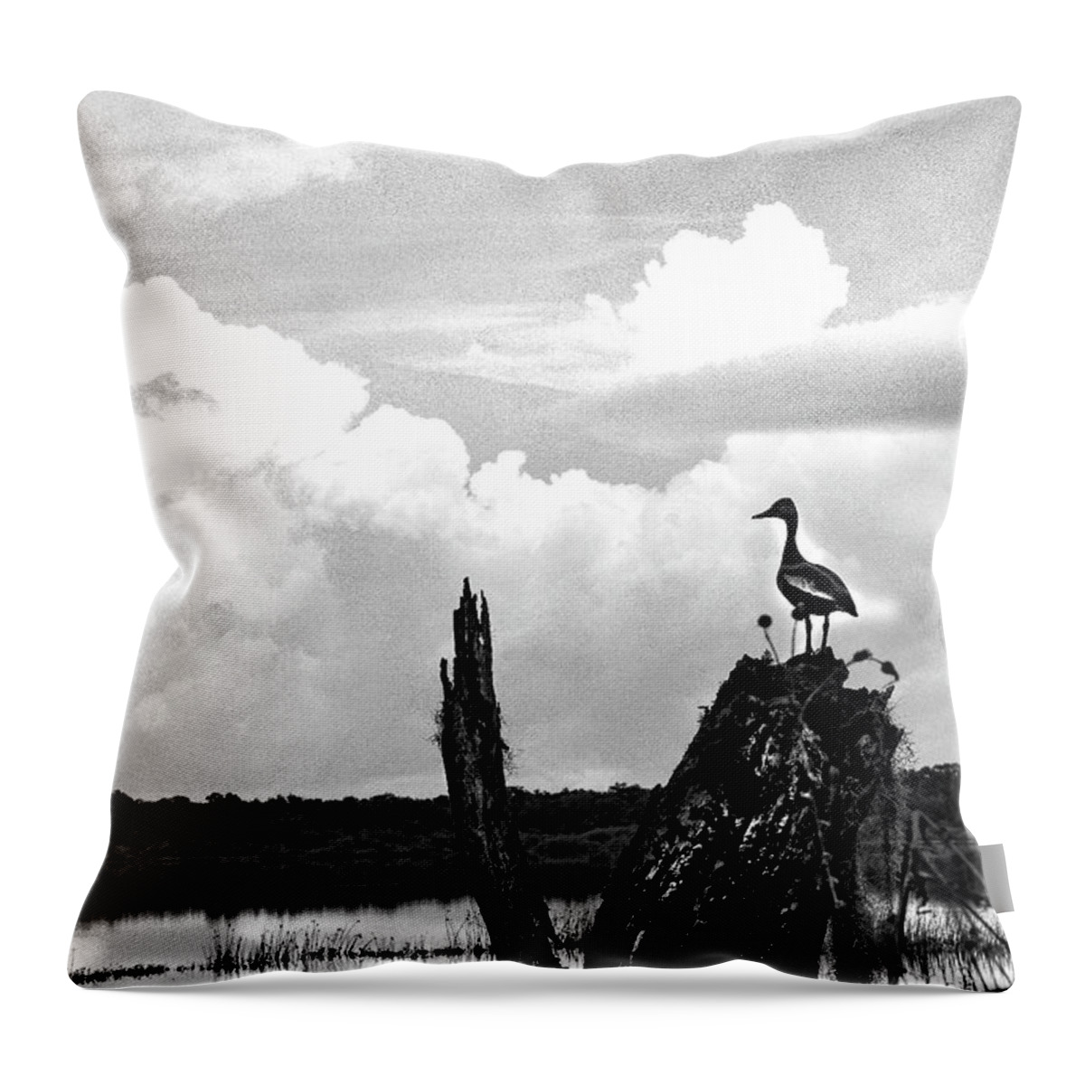 Clouds Throw Pillow featuring the photograph Gathering Storm by Rick Redman