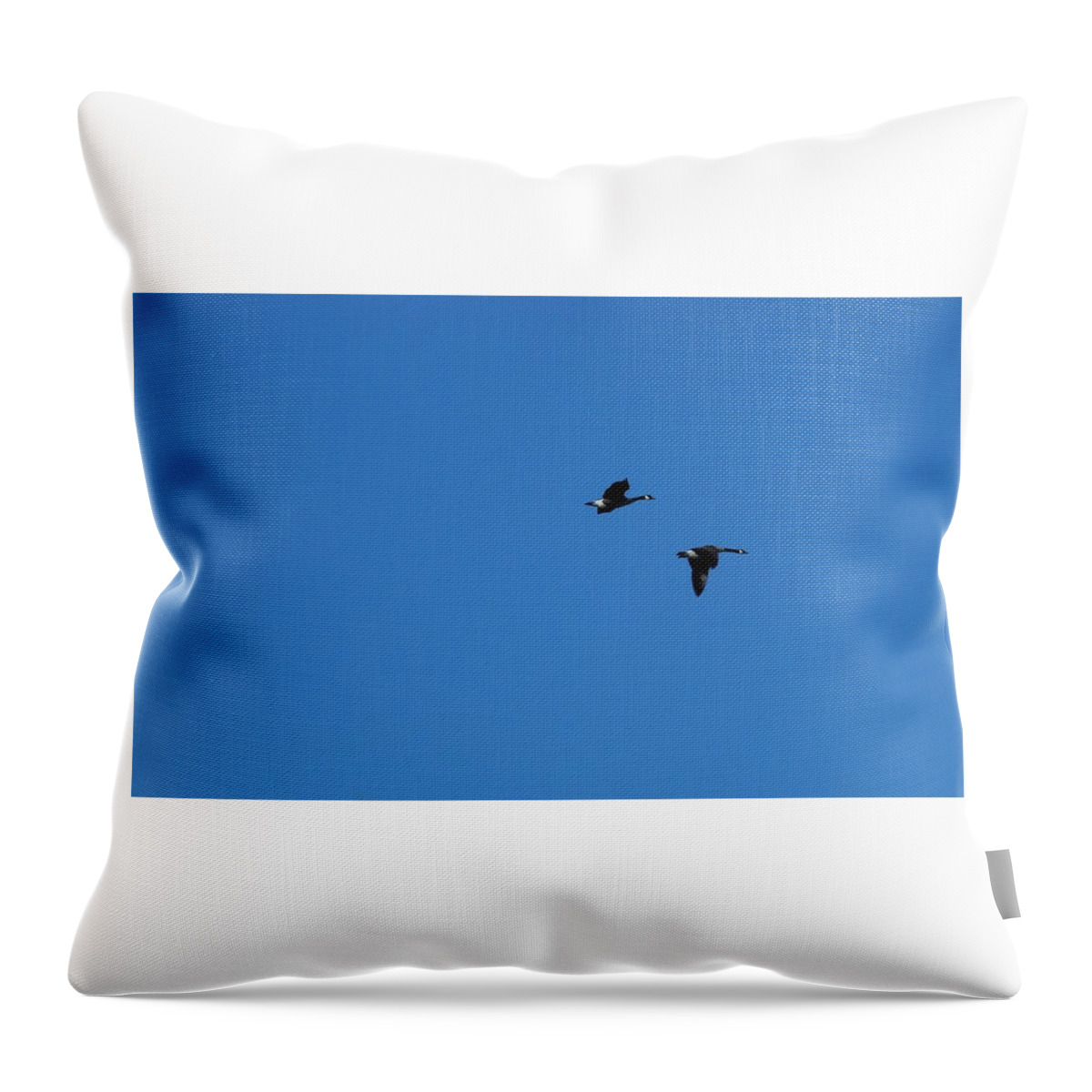 Birds Throw Pillow featuring the photograph Geese In Flight by Ee Photography