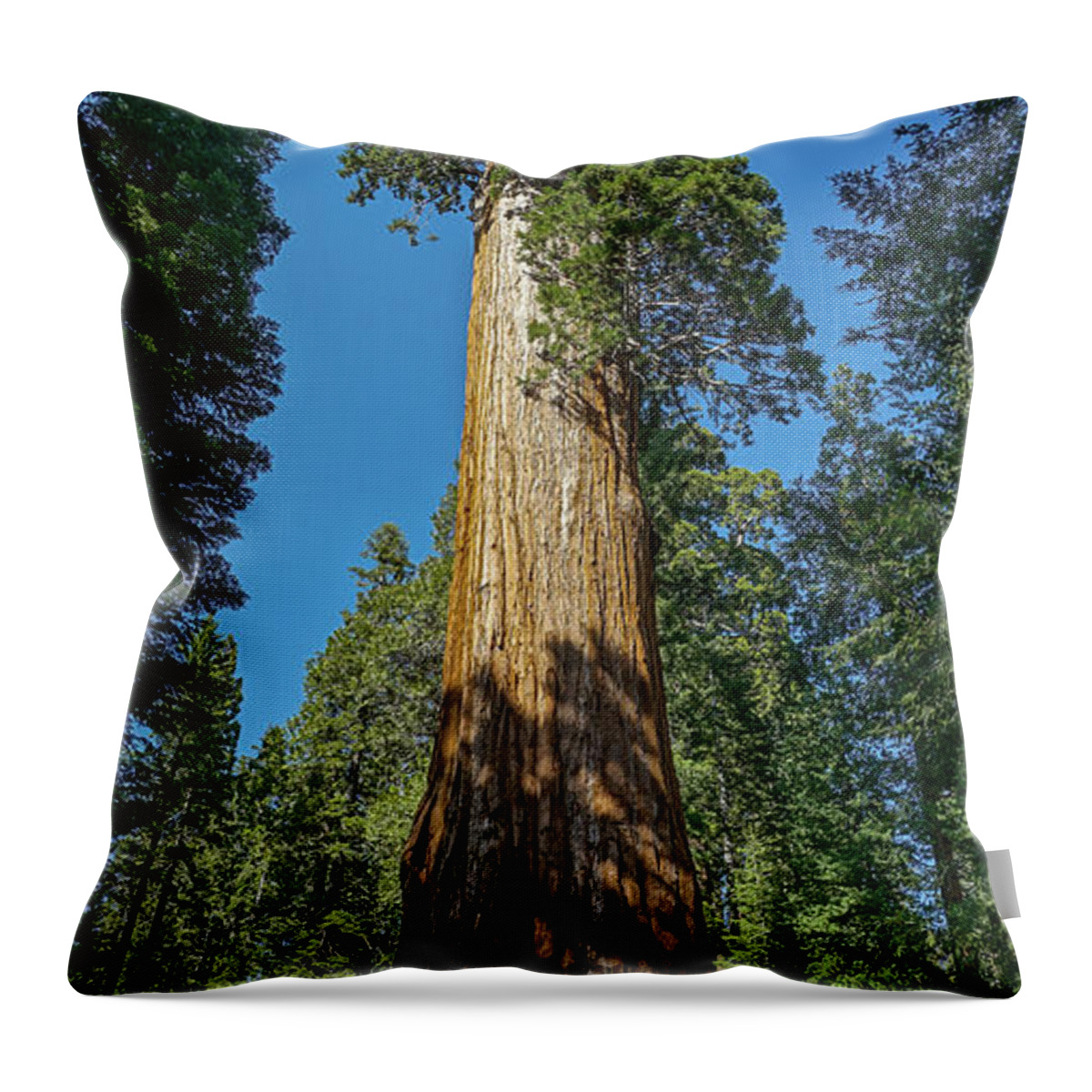 General Grant Tree Throw Pillow featuring the photograph General Grant by Brett Harvey