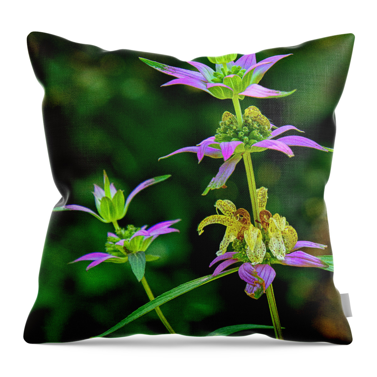 Plant Throw Pillow featuring the photograph Gentian by Bill Barber