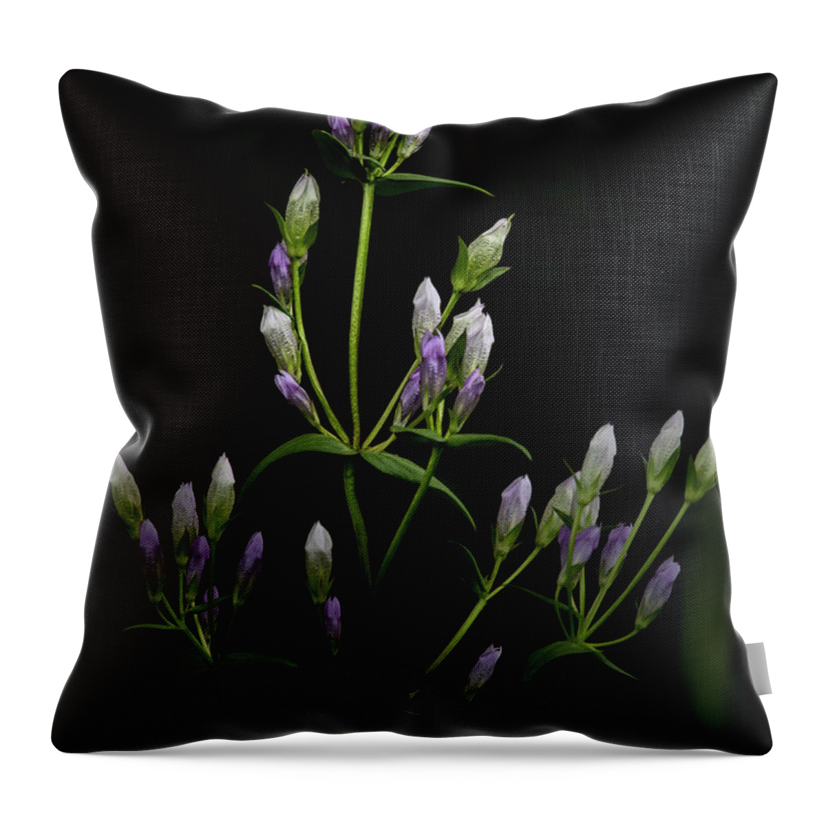 Gentians Throw Pillow featuring the photograph Gentians by Fred Denner