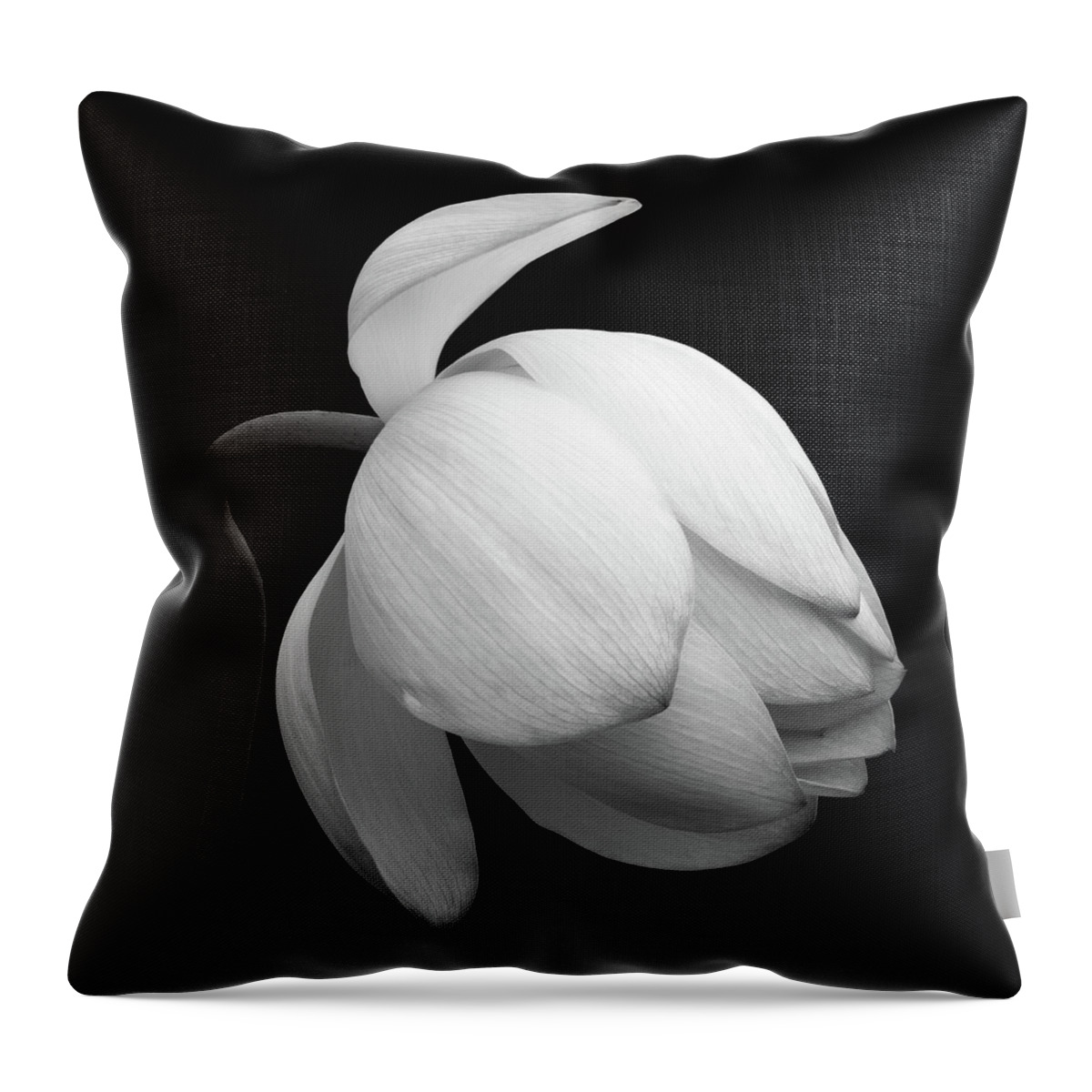 Lotus Throw Pillow featuring the photograph Gentle Beauty by Elvira Peretsman