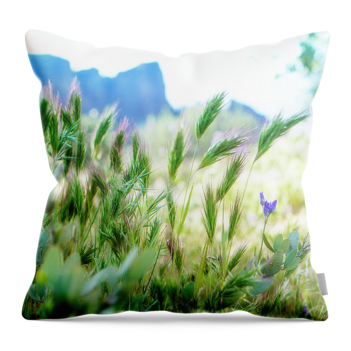 Wild Grass Throw Pillow featuring the photograph Gentle Rising by Lisa Spencer