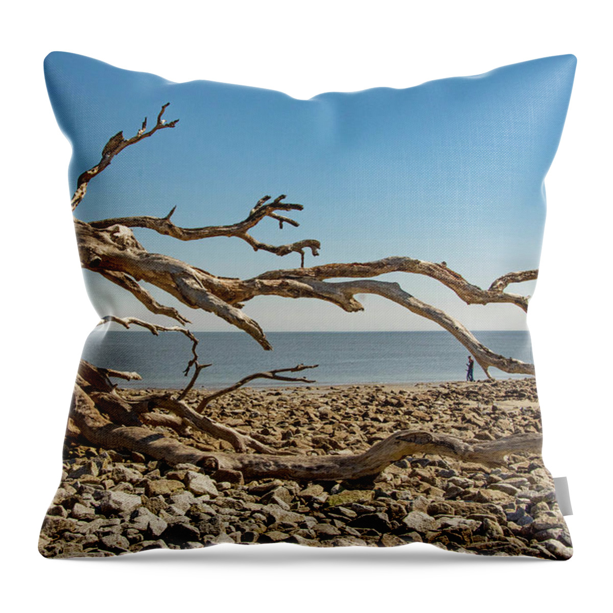 Large Driftwood Trees Throw Pillow featuring the photograph Georgia Driftwood Beach by Rebecca Herranen
