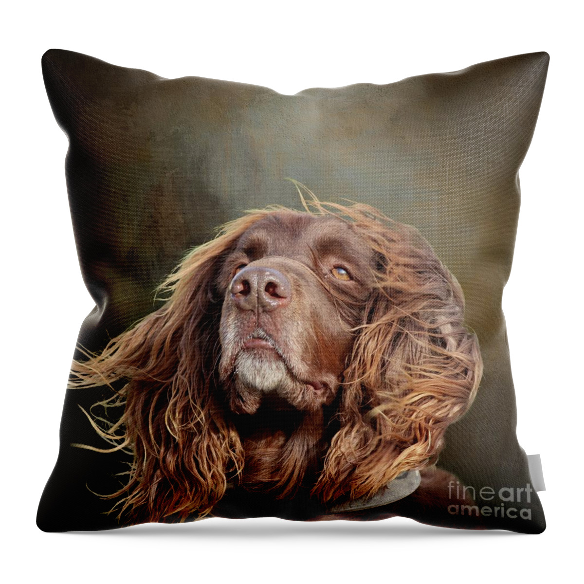 German Longhaired Pointer Throw Pillow featuring the photograph German Longhaired Pointer by Eva Lechner