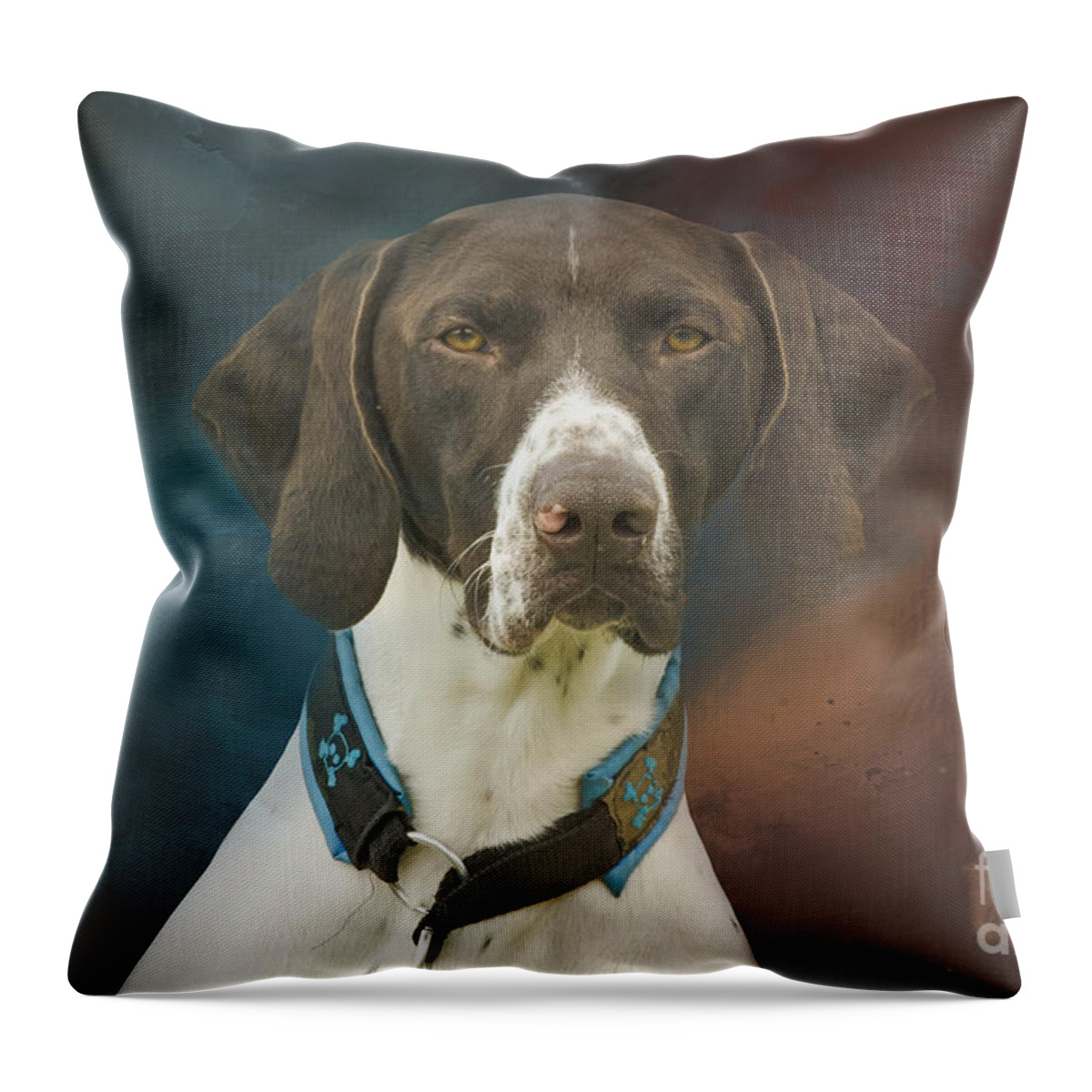 German Shorthaired Pointer Throw Pillow featuring the photograph German Shorthaired Pointer Four by Elisabeth Lucas