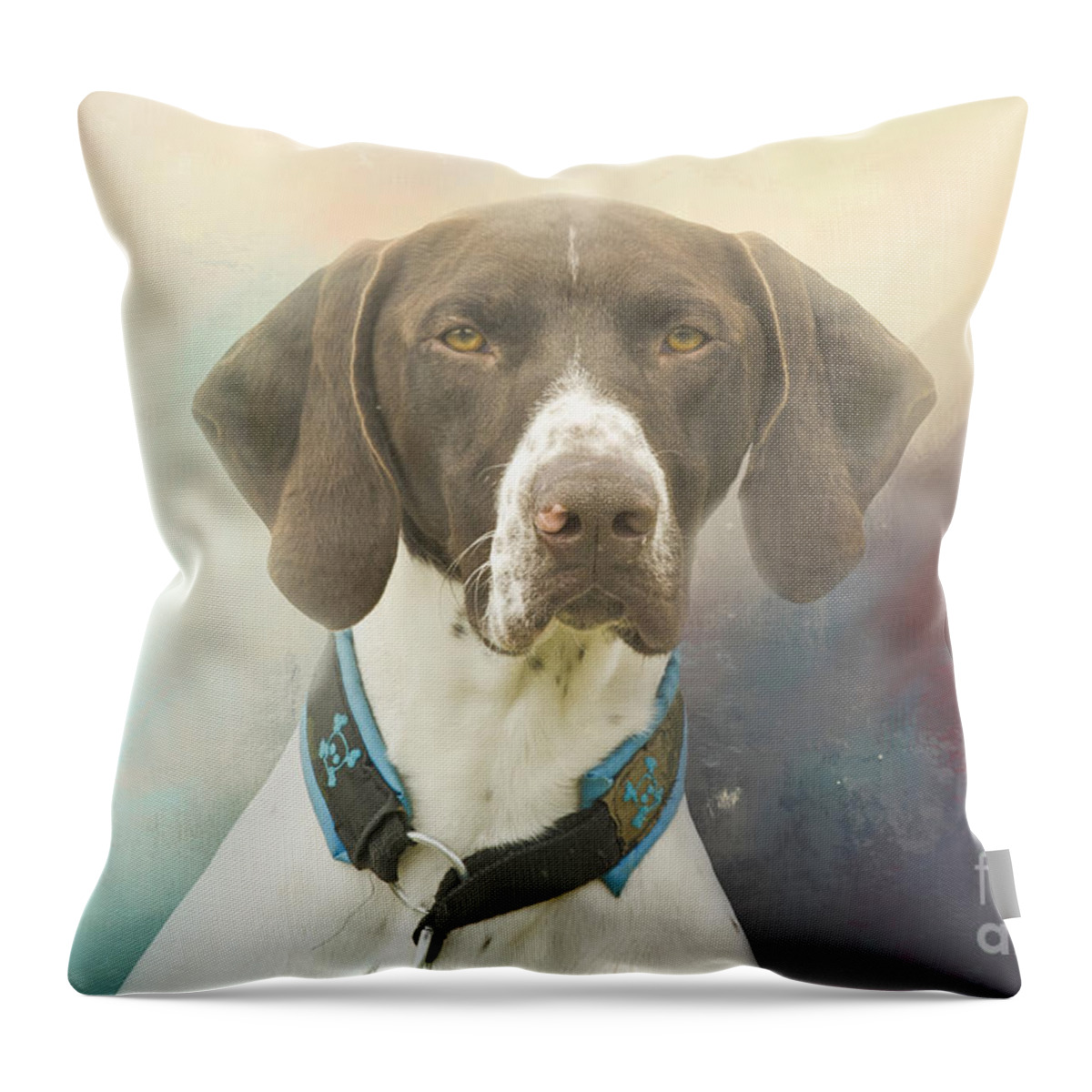 German Shorthaired Pointer Throw Pillow featuring the photograph German Shorthaired Pointer Seven by Elisabeth Lucas