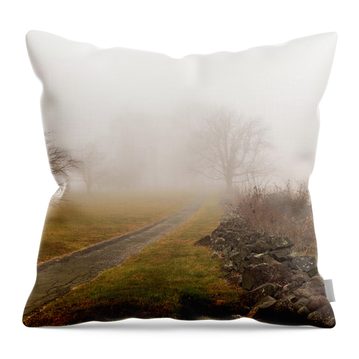 Road Throw Pillow featuring the photograph Gettysburg Battlefield 2020 by Amelia Pearn