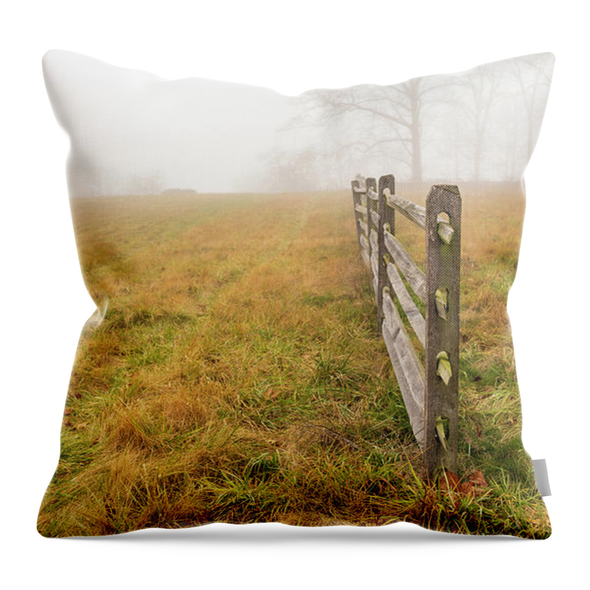 Landscape Throw Pillow featuring the photograph Gettysburg Fence Winter 2020 by Amelia Pearn