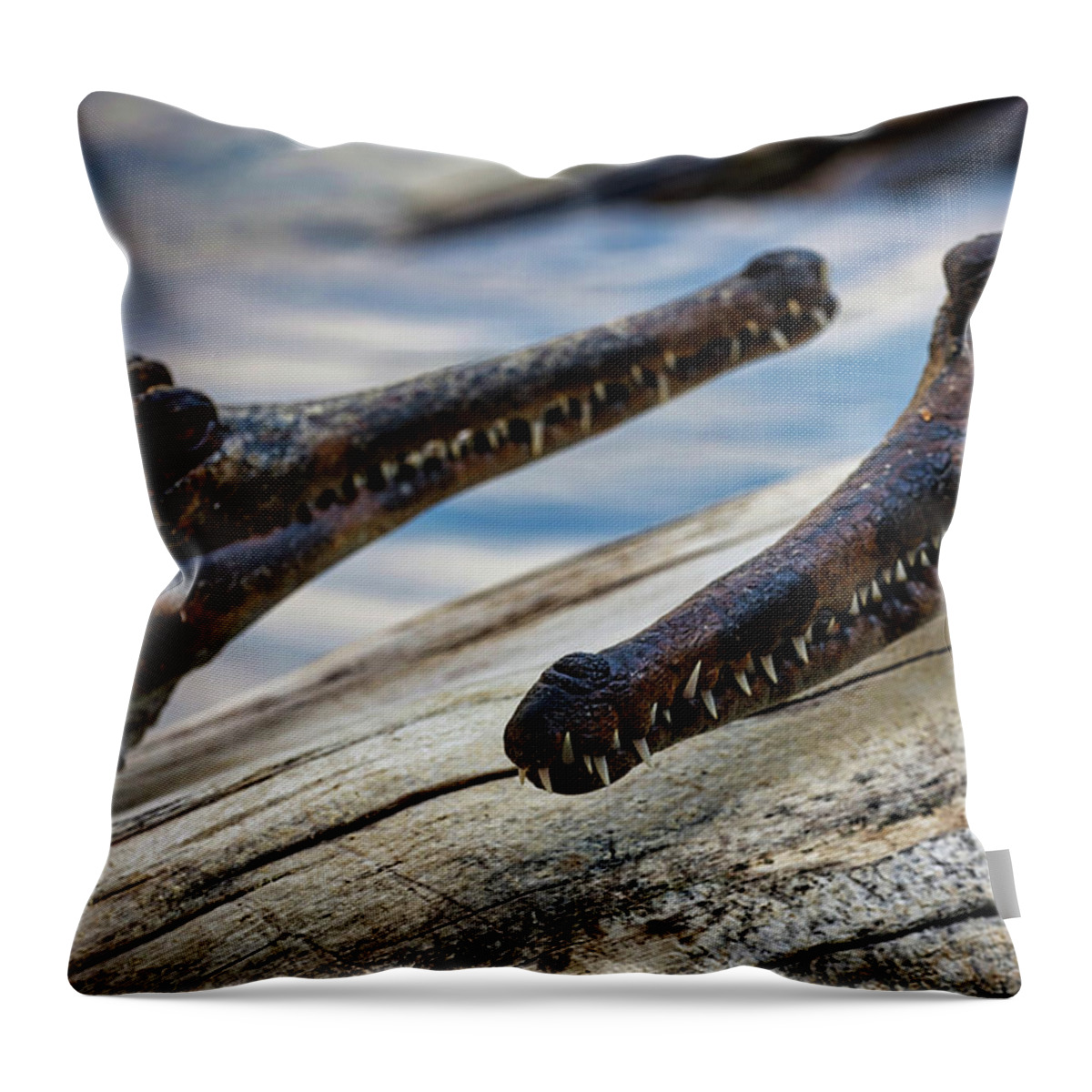 Gharial Throw Pillow featuring the photograph Gharials Chilling by Rene Vasquez