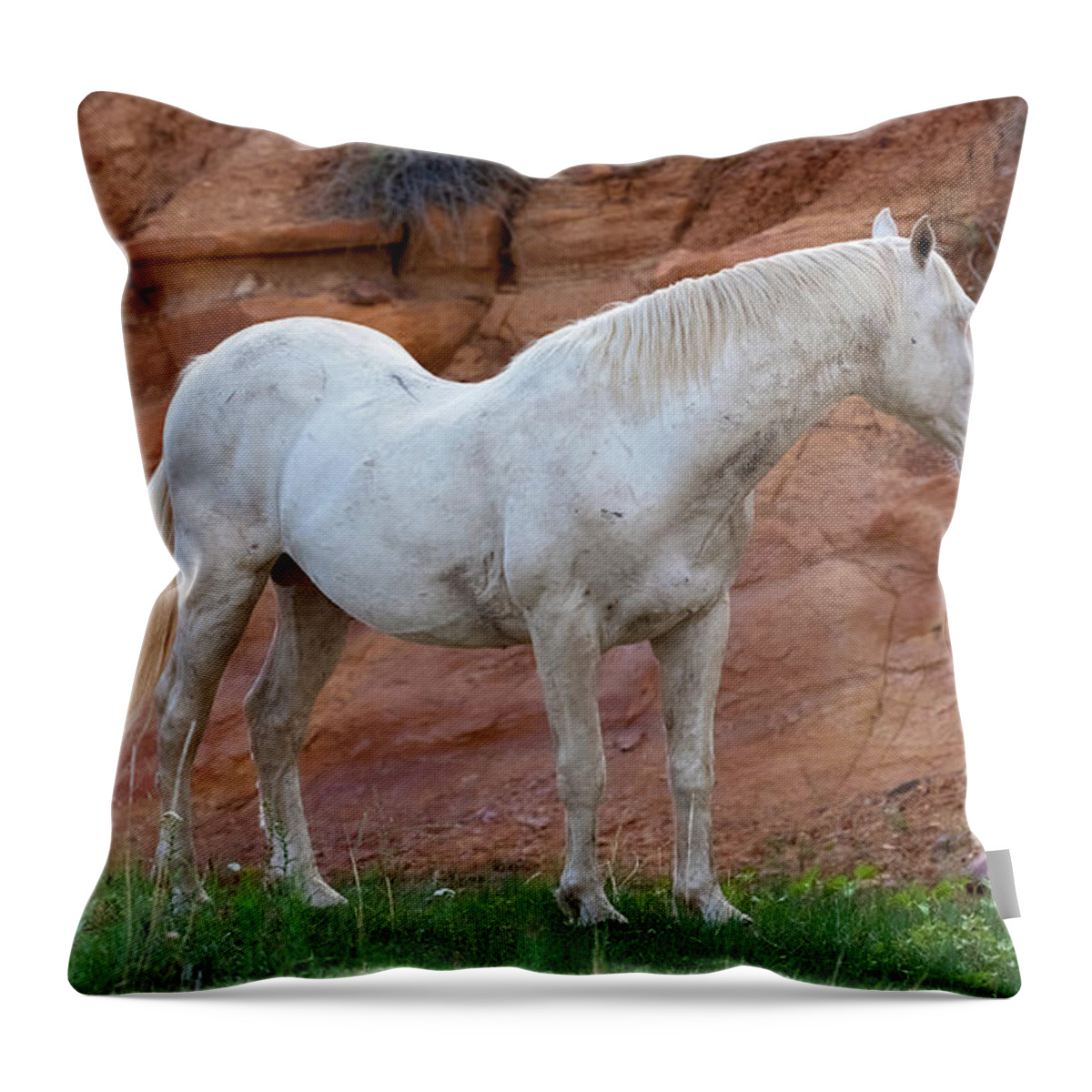 Stallion Throw Pillow featuring the photograph Ghost. by Paul Martin