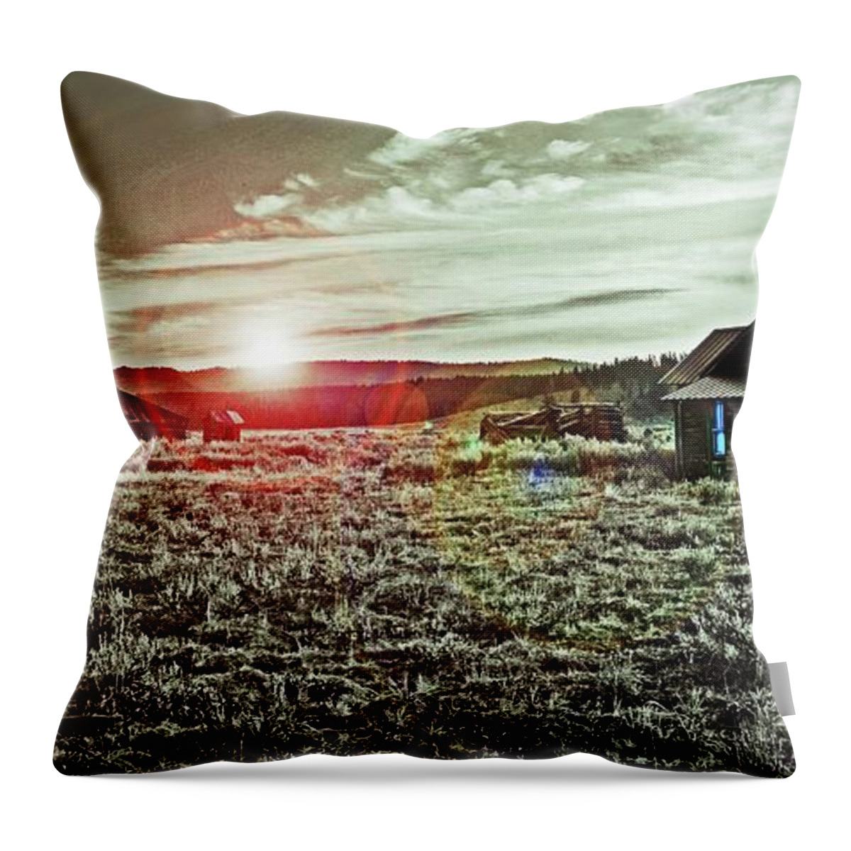 Ghost Town Throw Pillow featuring the digital art Ghost Town by Fred Loring