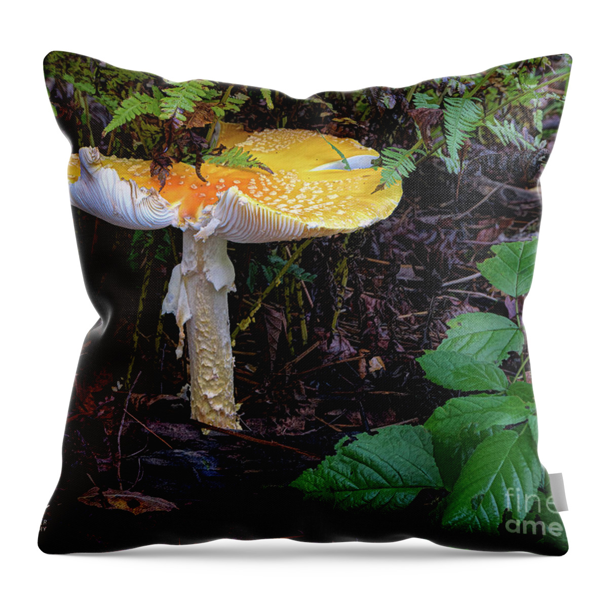 Fungi Throw Pillow featuring the photograph Giant Fly Agaric Mushroom by Trey Foerster