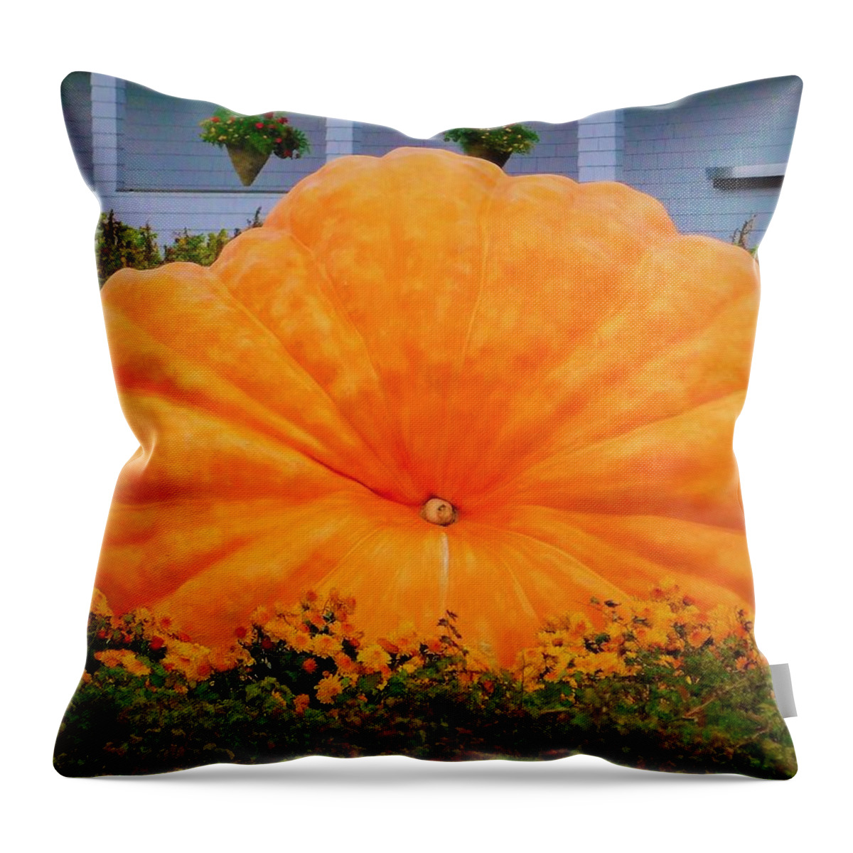 - Giant Pumpkin Throw Pillow featuring the photograph - Giant Pumpkin by THERESA Nye