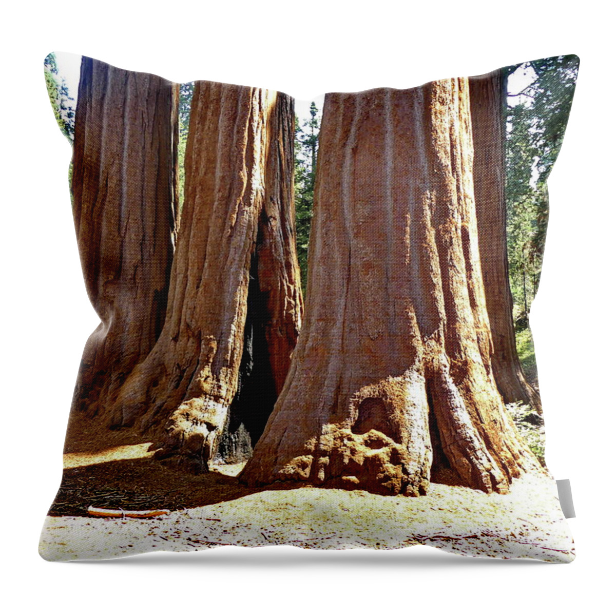 Sequoia Grove Throw Pillow featuring the photograph Giant Sequoia Grove by Lyuba Filatova