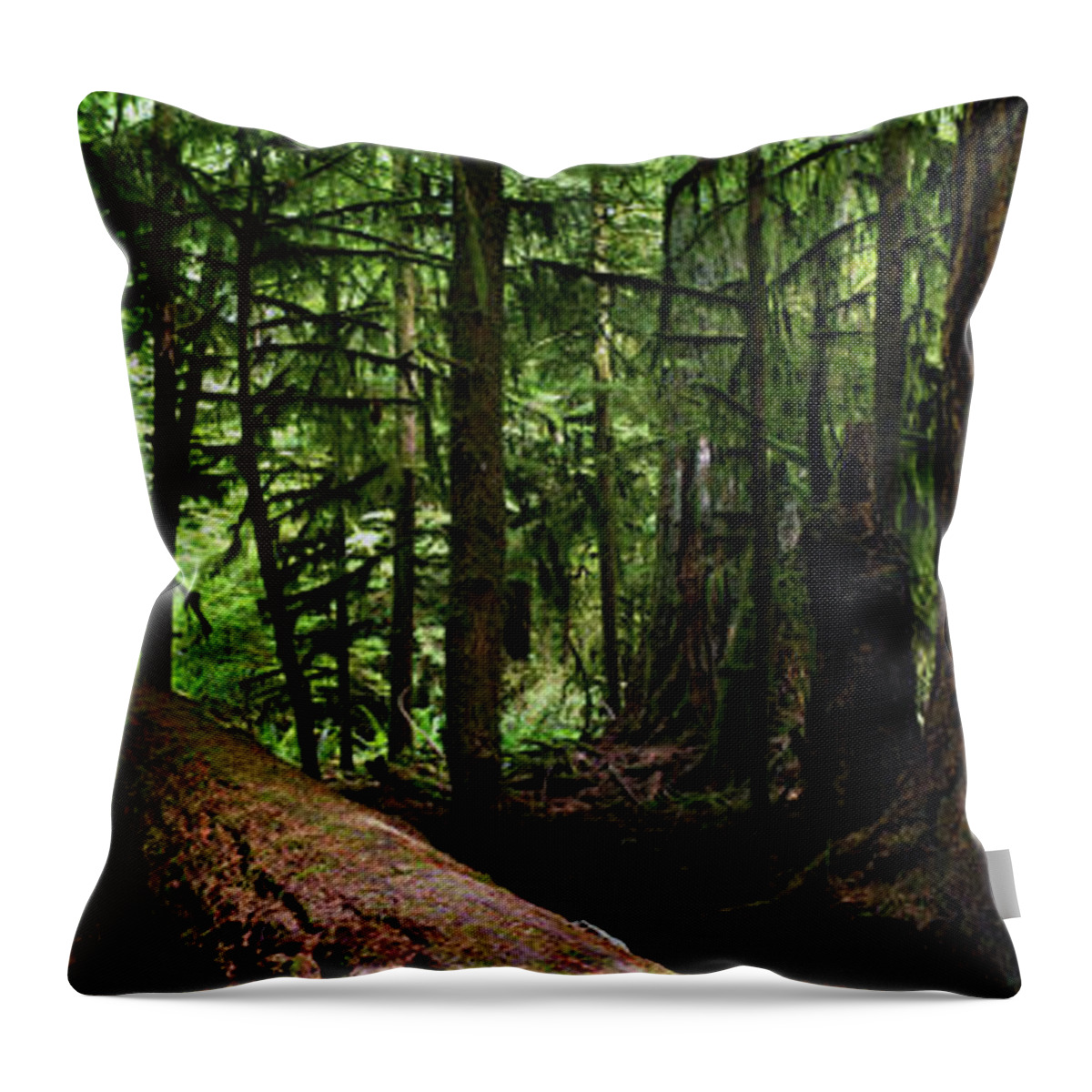 617 Throw Pillow featuring the photograph Giants - Canada Pacific Rim Vancouver Island Rain Forest by Sonny Ryse