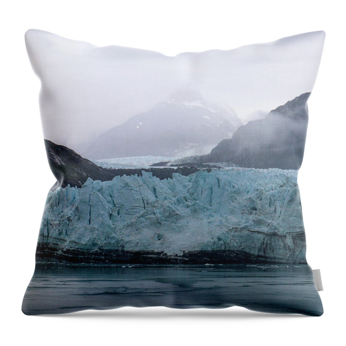 Glacier Bay National Park Throw Pillow featuring the photograph Glacier Bay Natural by Ed Williams