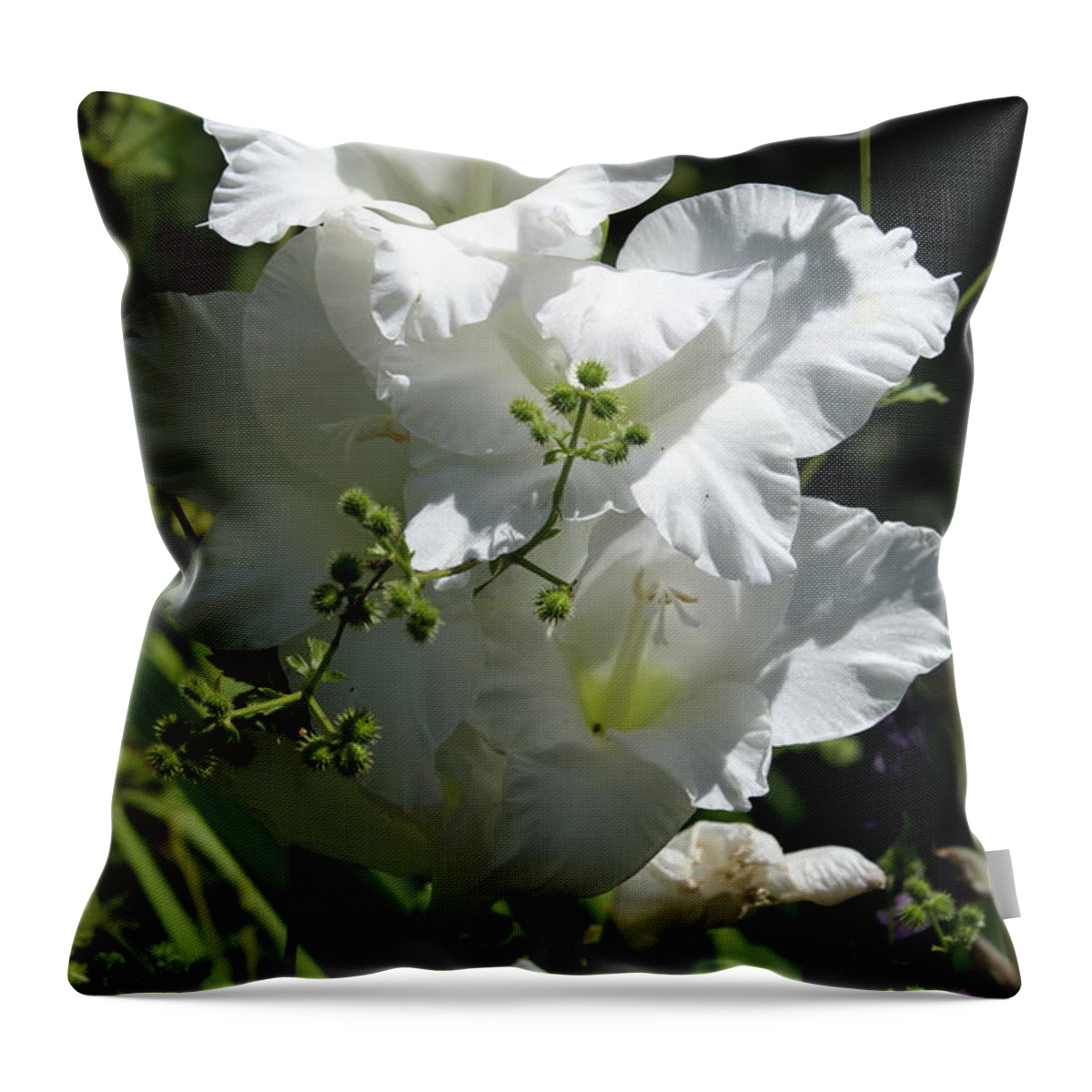  Throw Pillow featuring the photograph Gladiolus by Heather E Harman