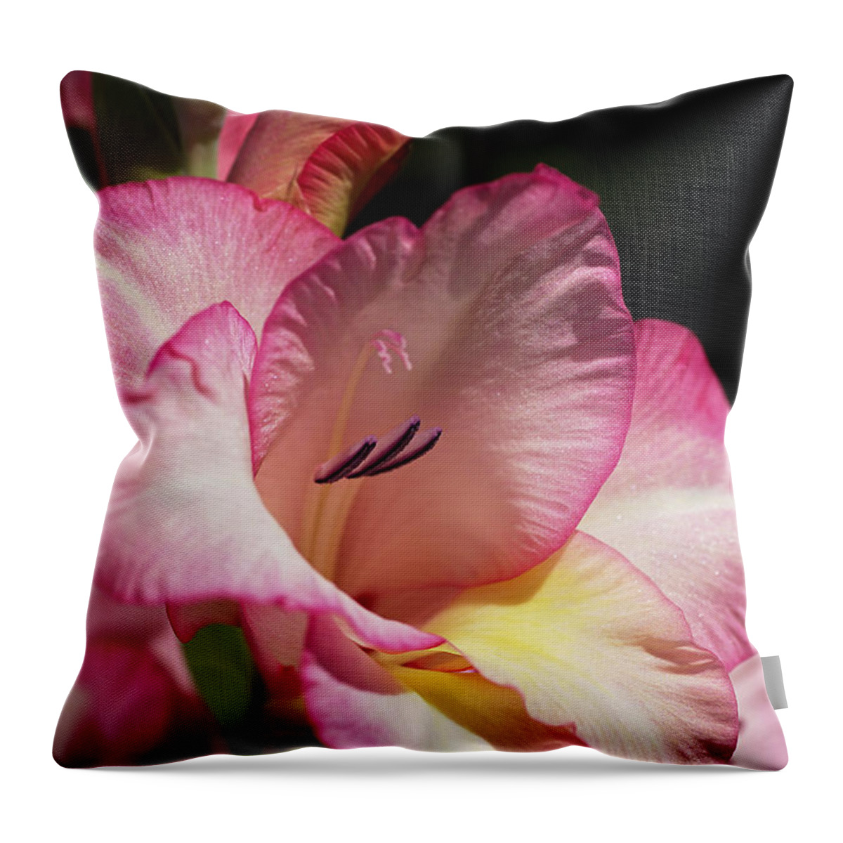 Gladiolus Throw Pillow featuring the photograph Gladiolus In Pink by Joy Watson
