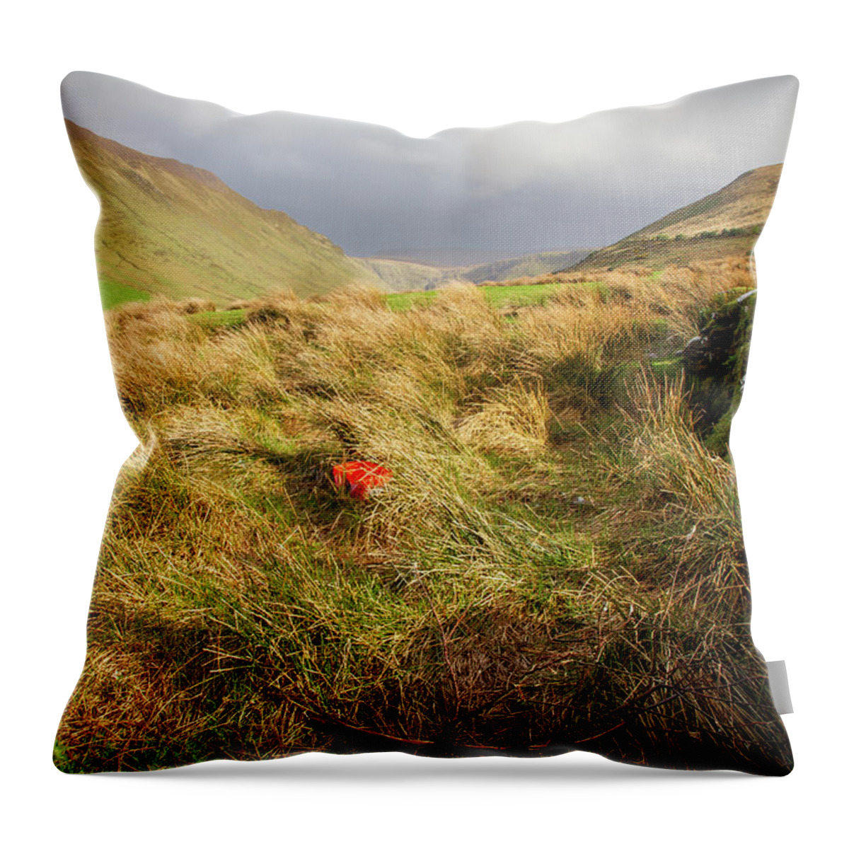 Kerry Throw Pillow featuring the photograph Glenahoo Wolfbane by Mark Callanan