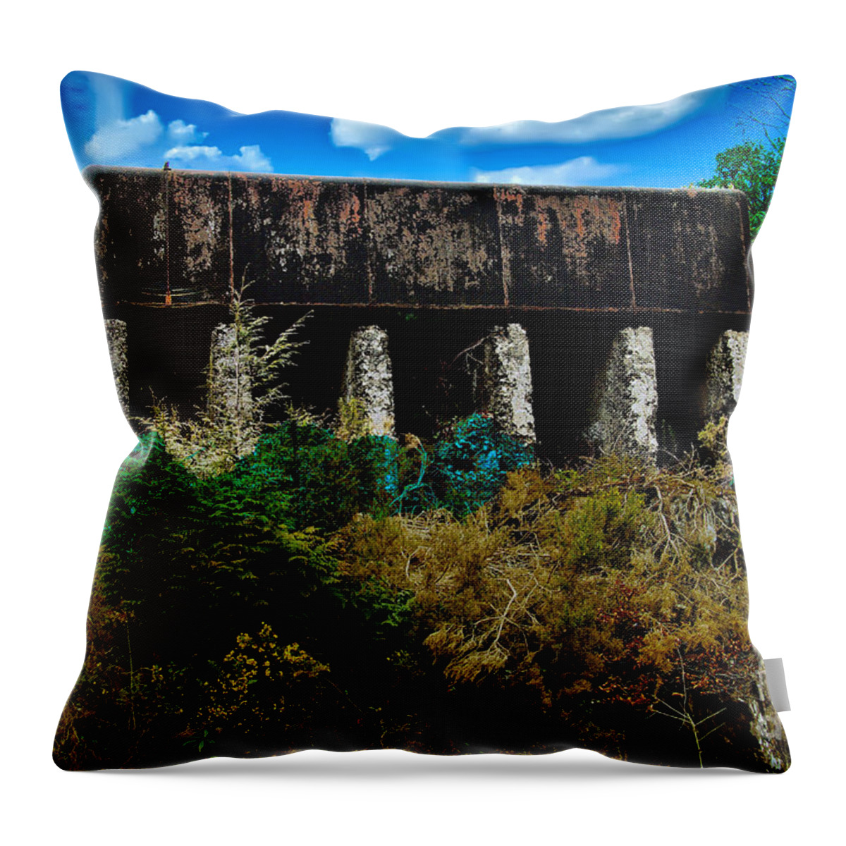 Railways Throw Pillow featuring the photograph Glenfinnan Water Tower by Richard Denyer