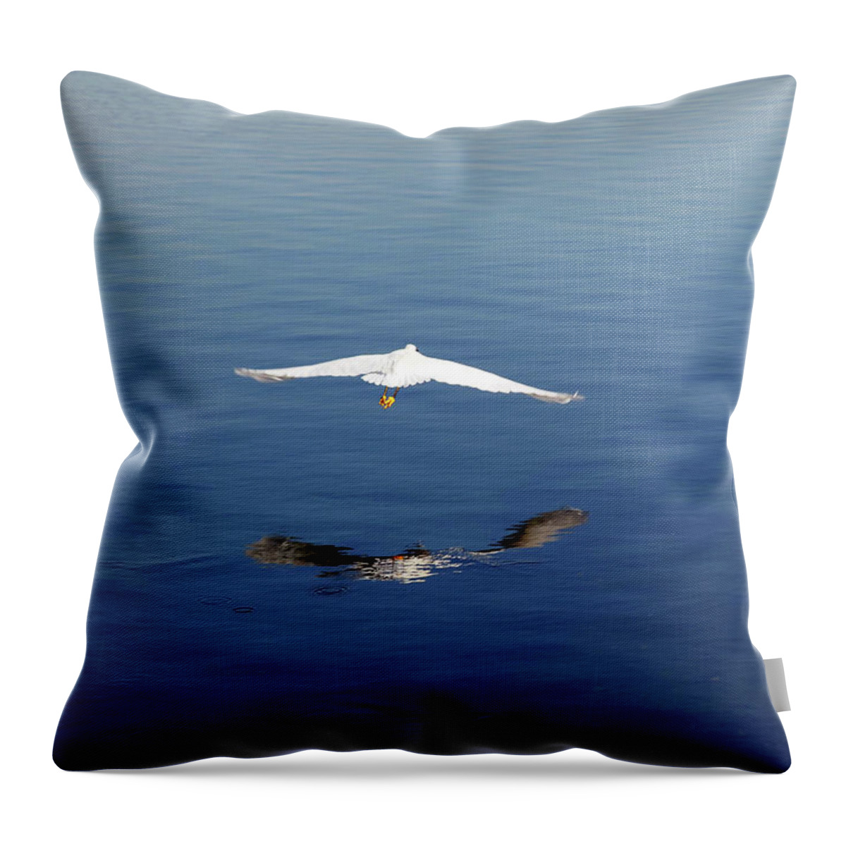 Egret Throw Pillow featuring the photograph Glidepath by Joe Schofield