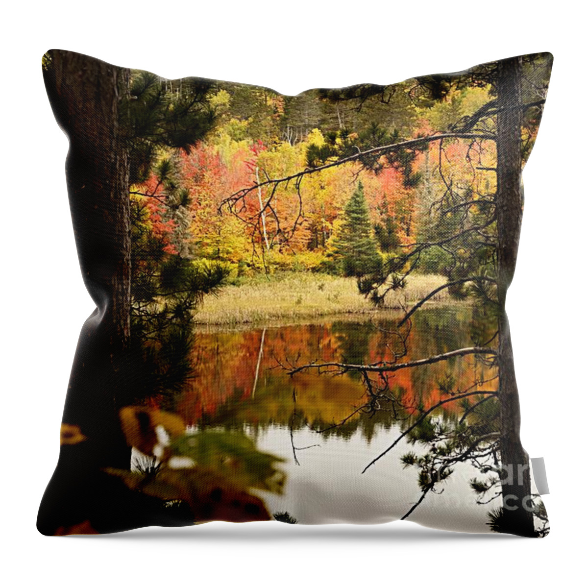 Landscape Throw Pillow featuring the photograph Glimpse of Autumn by Larry Ricker