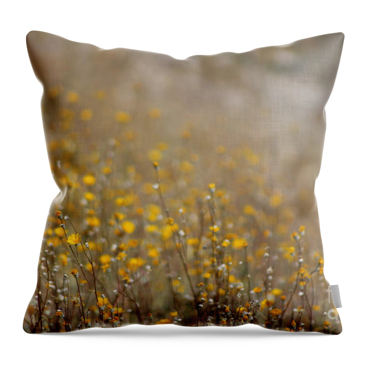 Desert Oasis Throw Pillow featuring the photograph Glistening with Gold Coachella Valley Wildlife Preserve by Colleen Cornelius